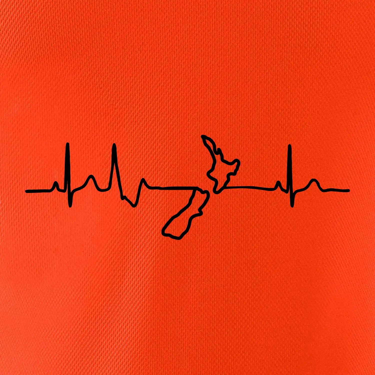 Nový Zéland EKG