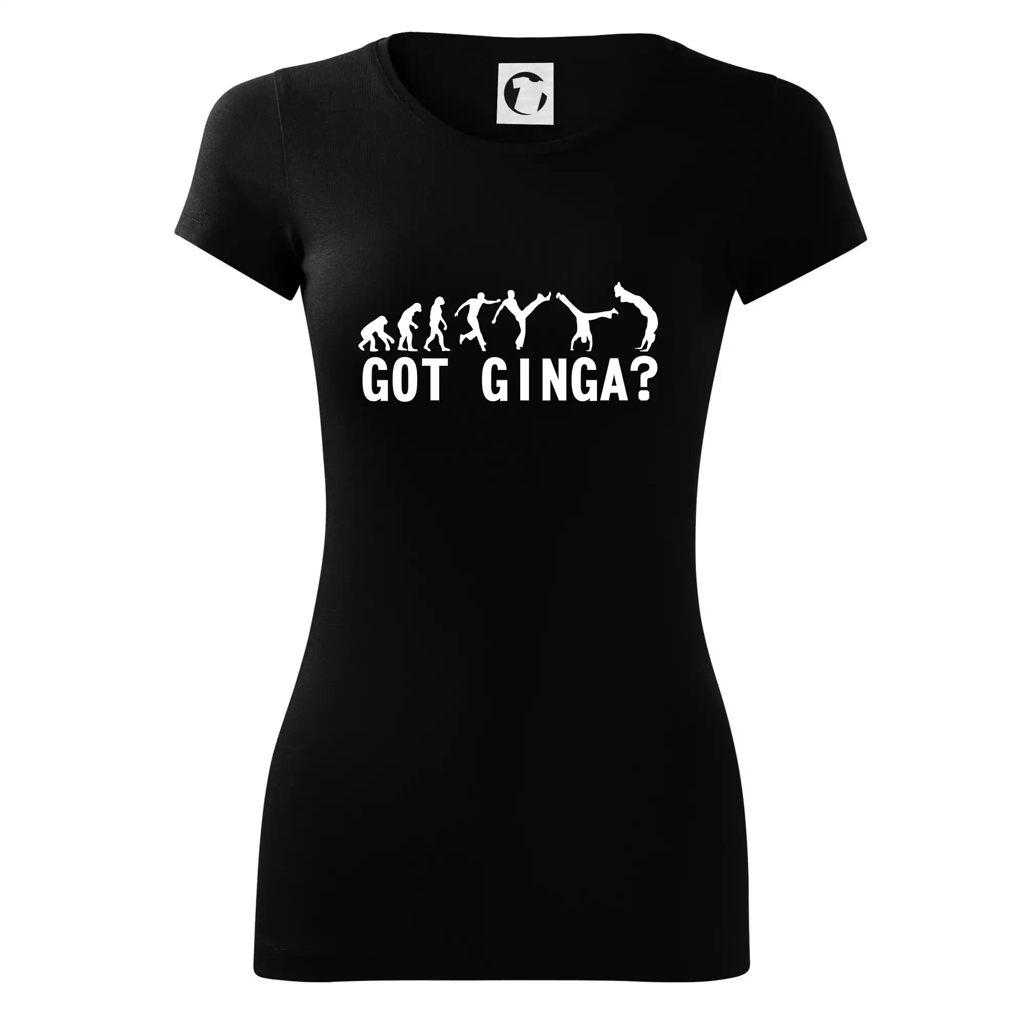 Capoeira - Got Ginga