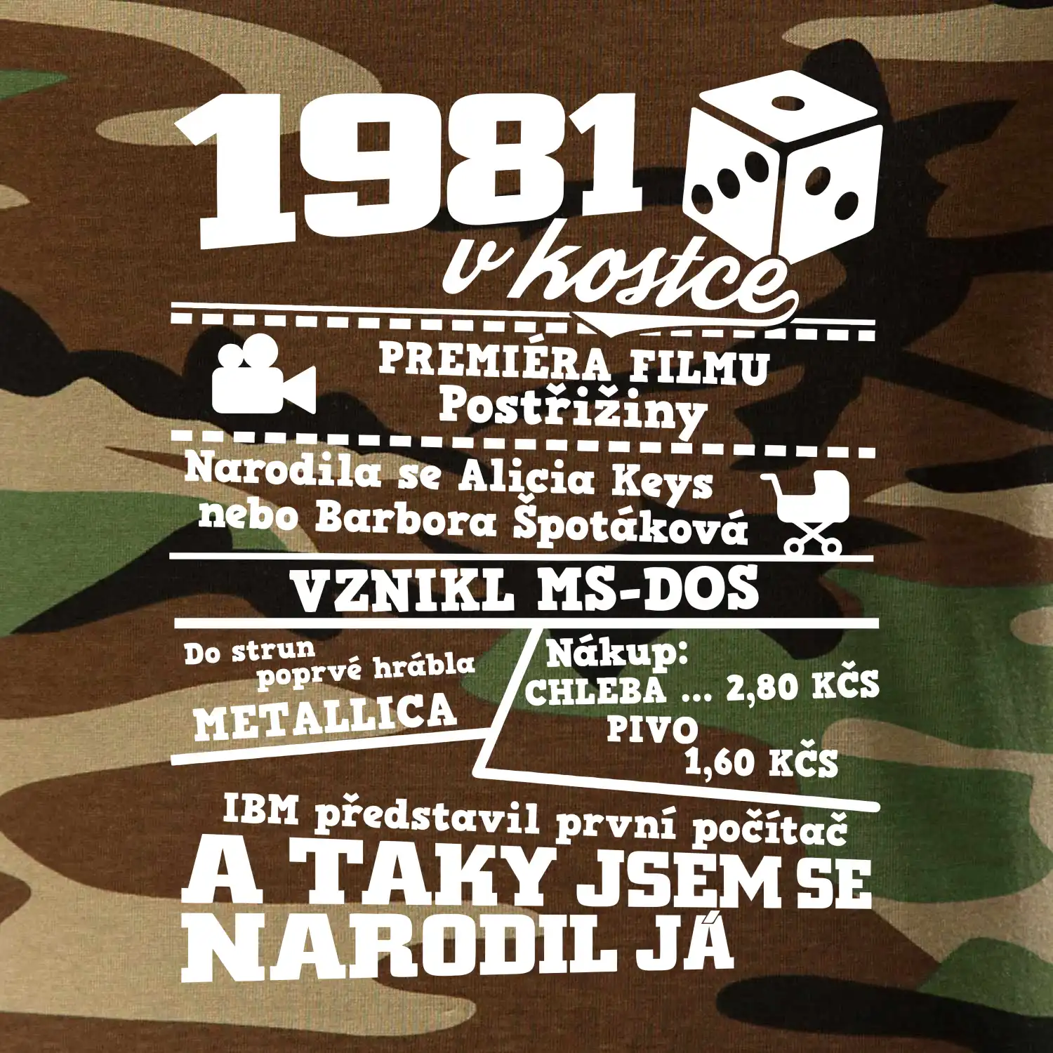 1981 v kostce
