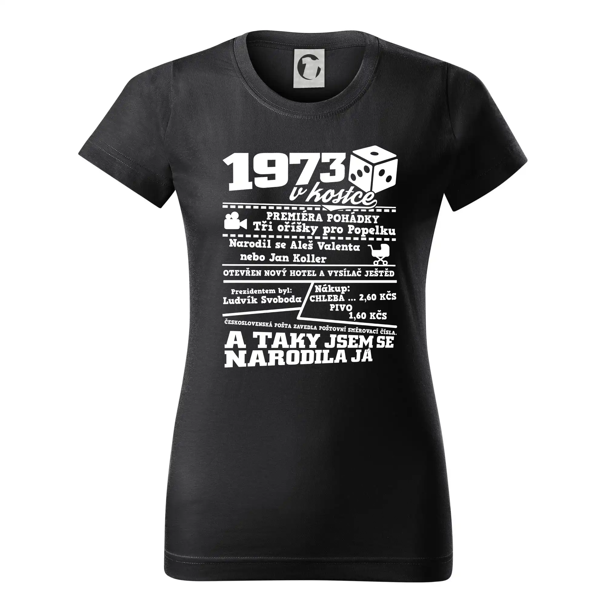 1973 v kostce