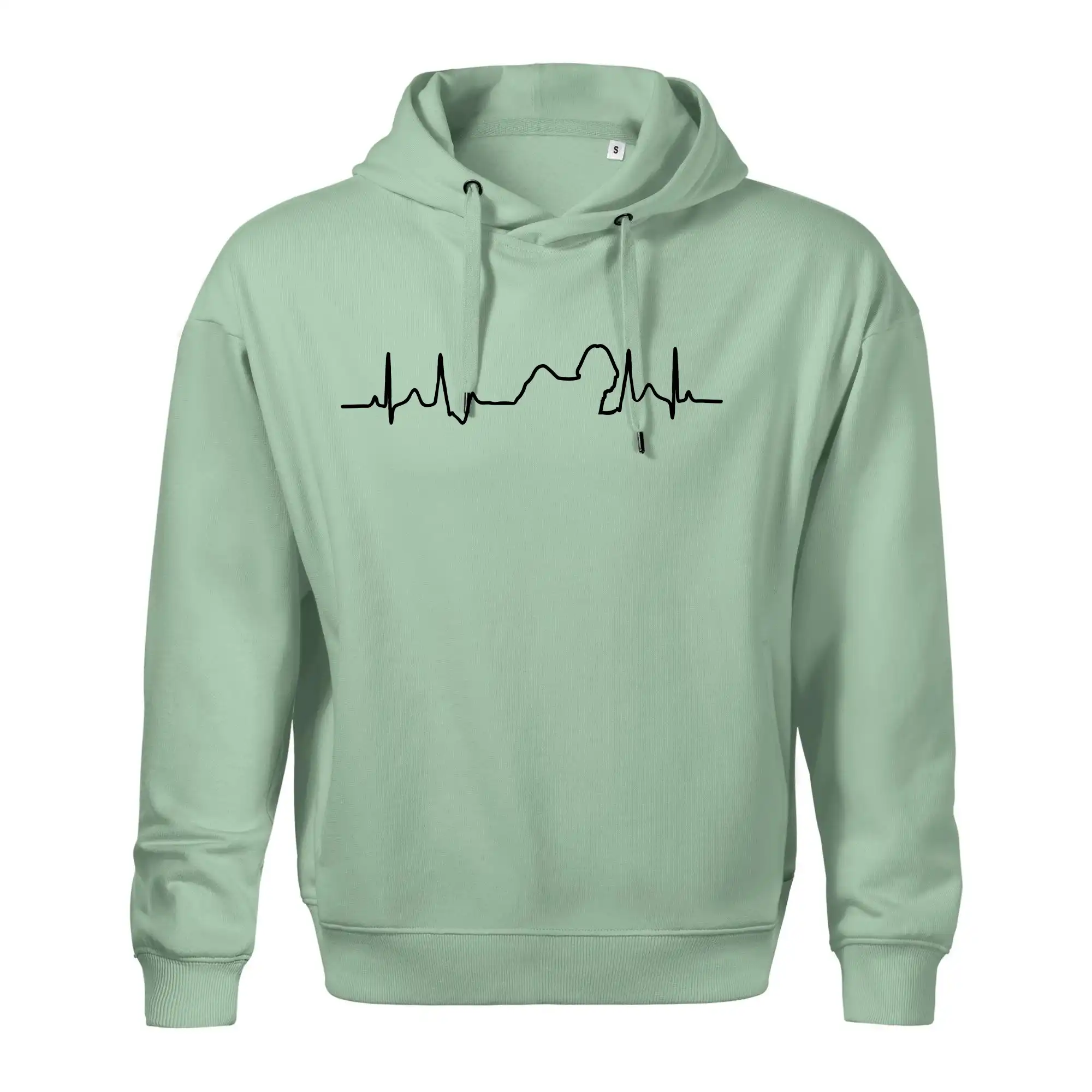 Shih-tzu ekg obrys