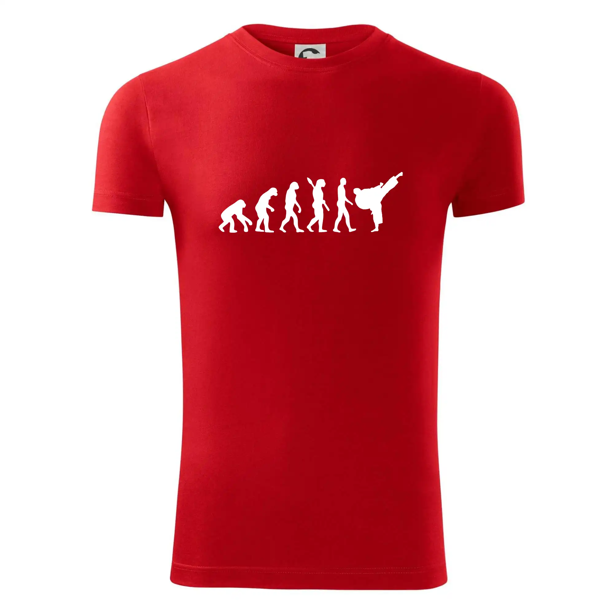 Karate Evoluce - kop