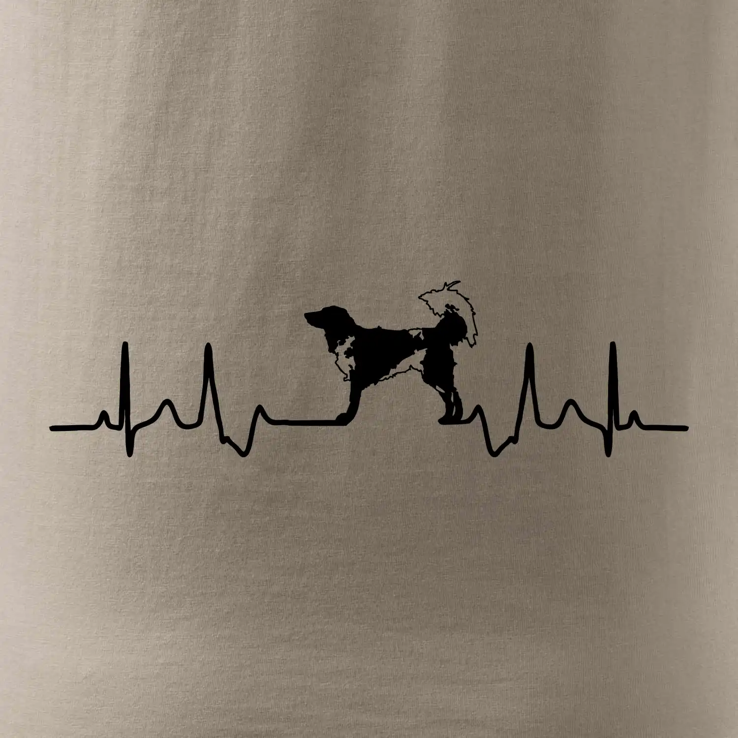 Český strakatý pes EKG