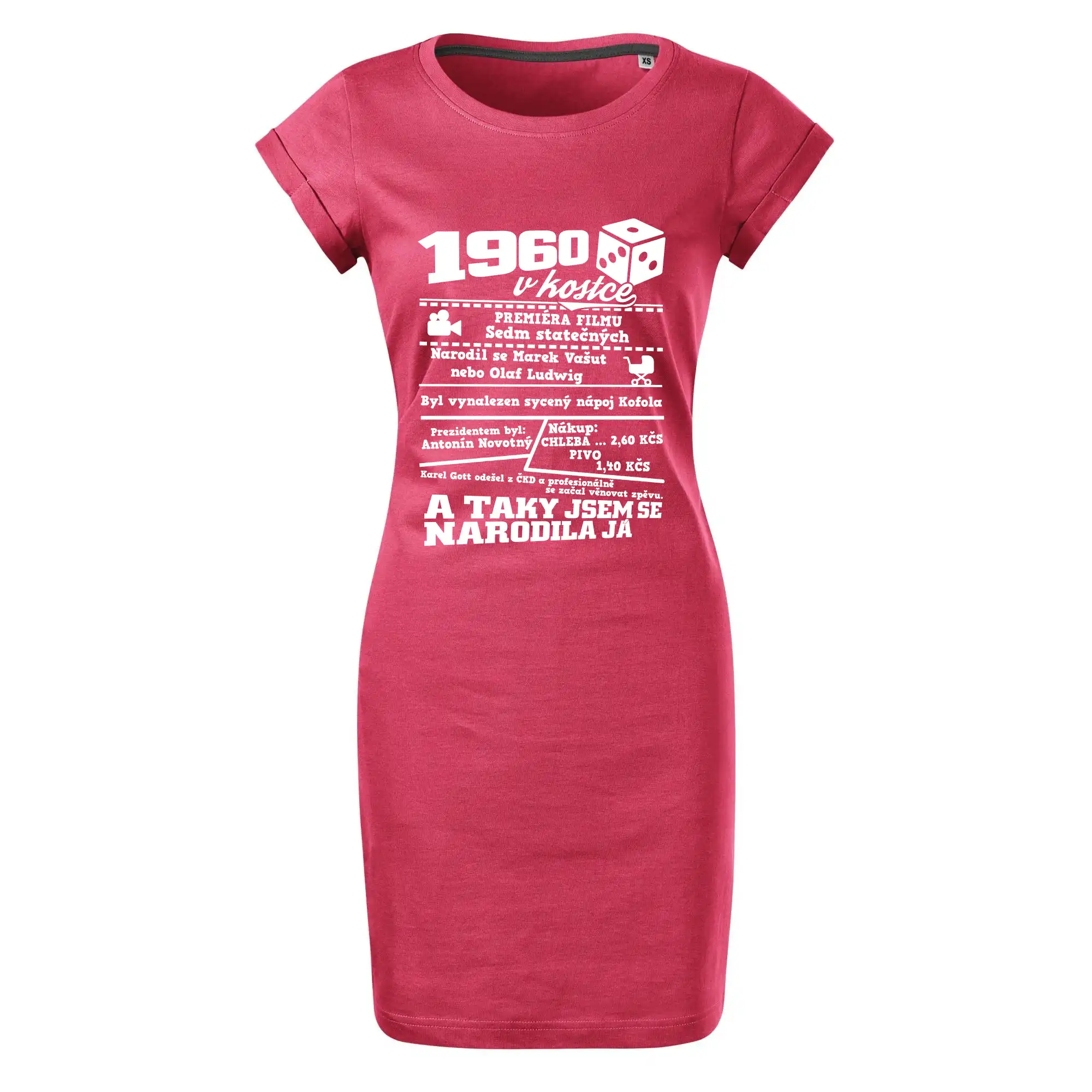 1960 v kostce