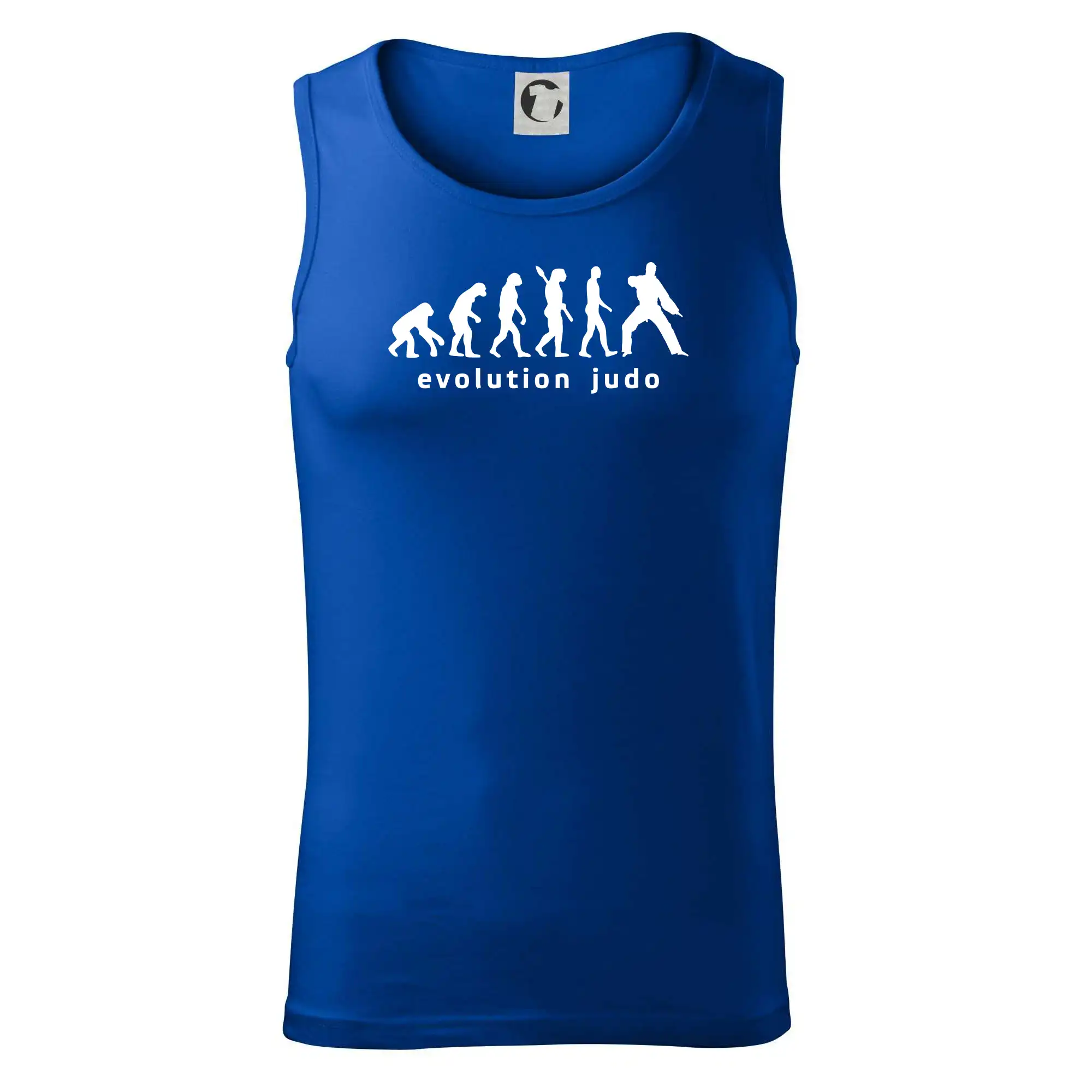 Judo evoluce - úder