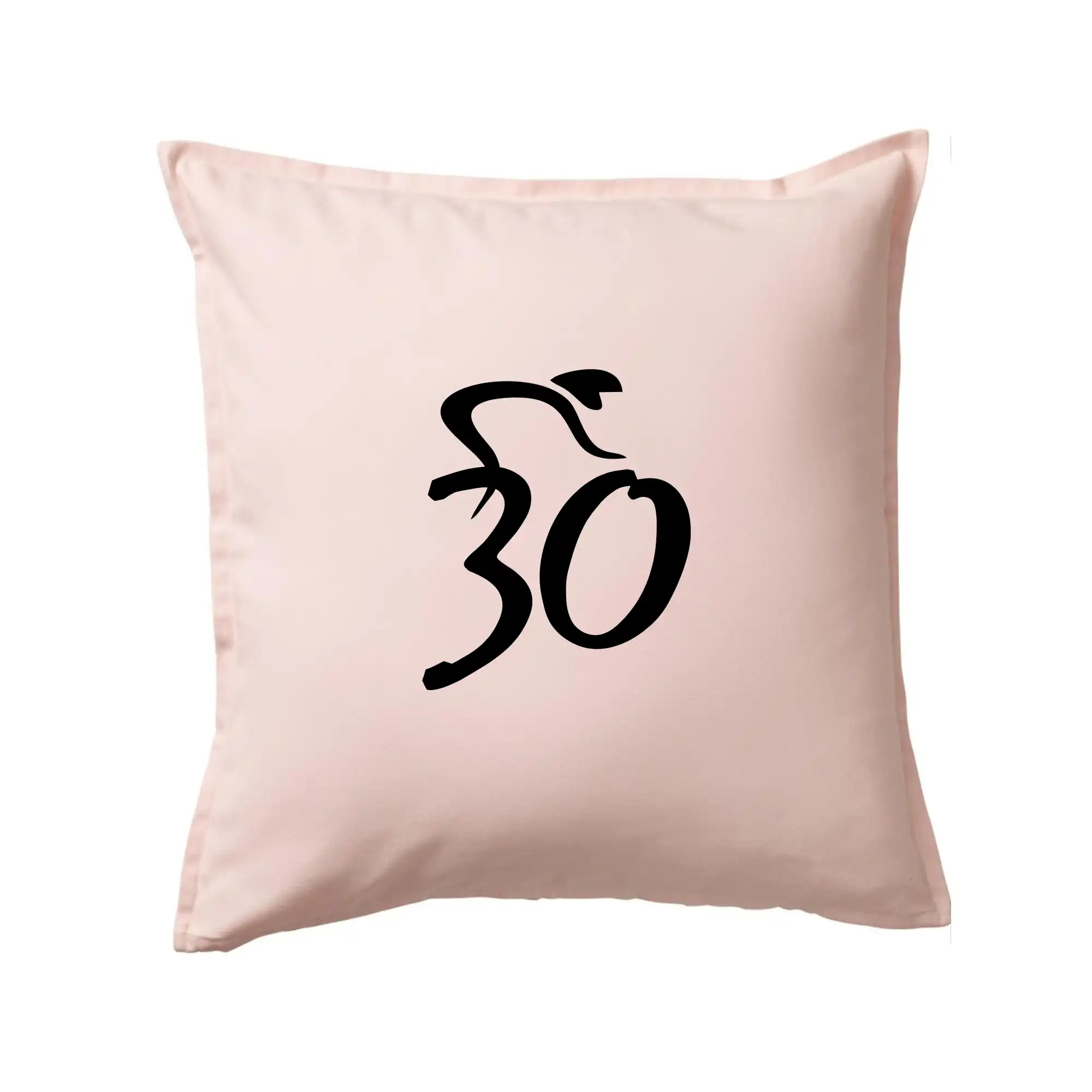 Cyklista slaví třicítku (30)