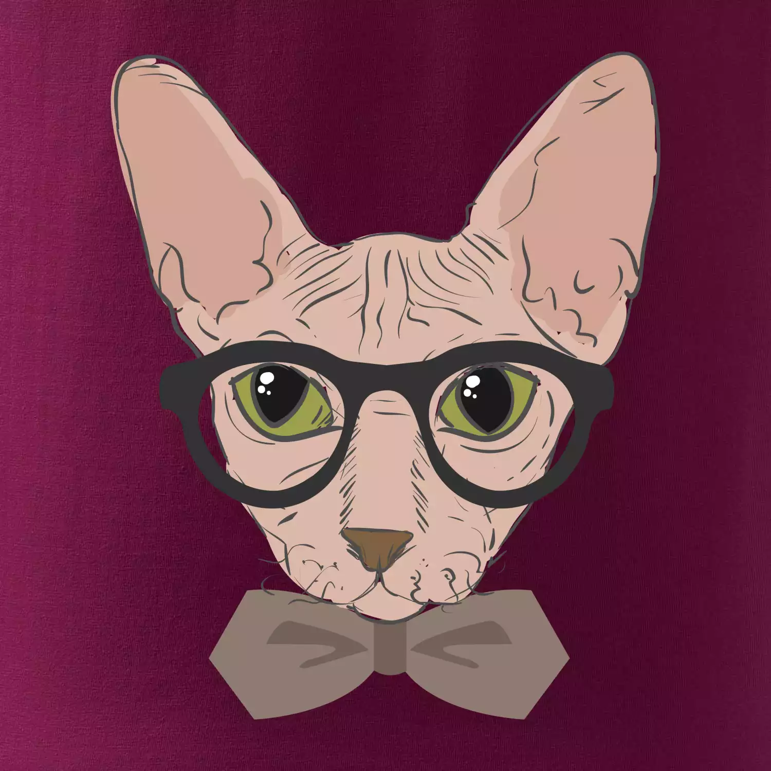 Hipster sphynx
