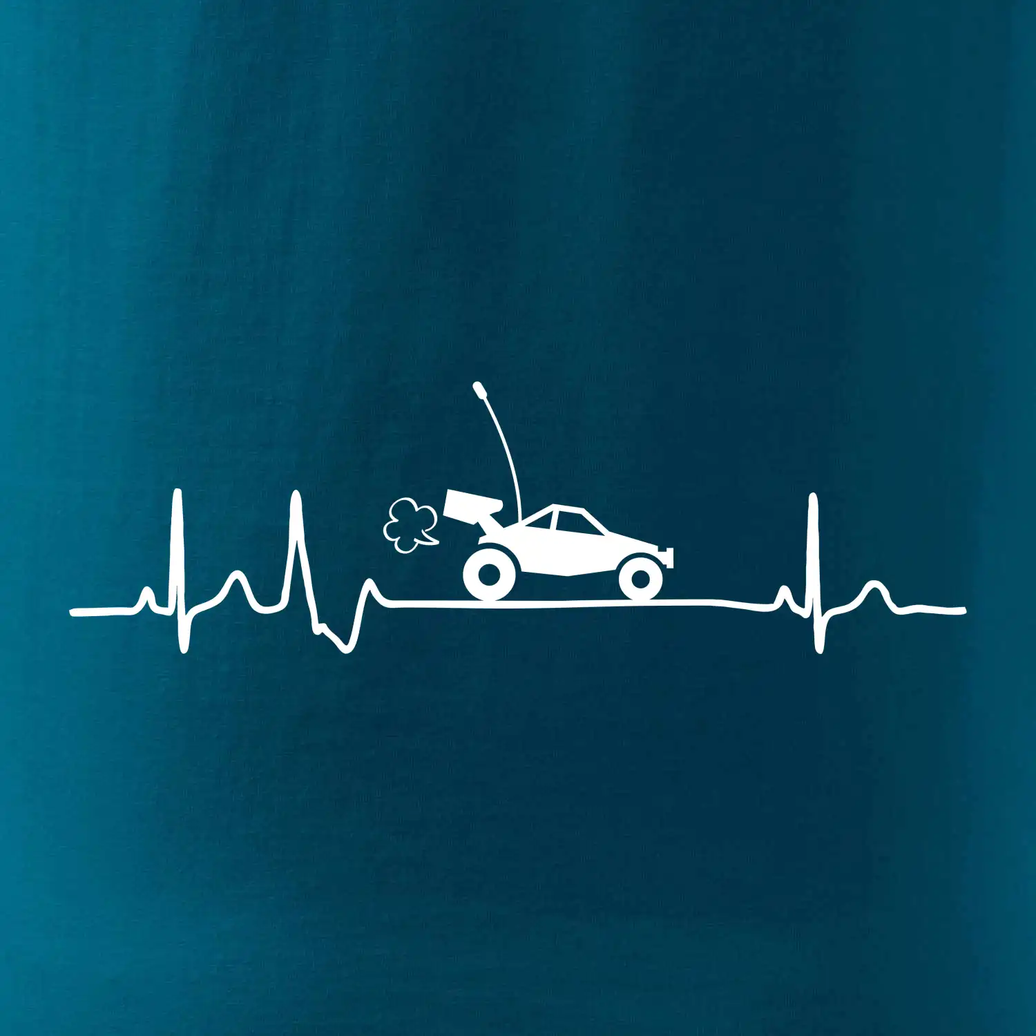 EKG RC model