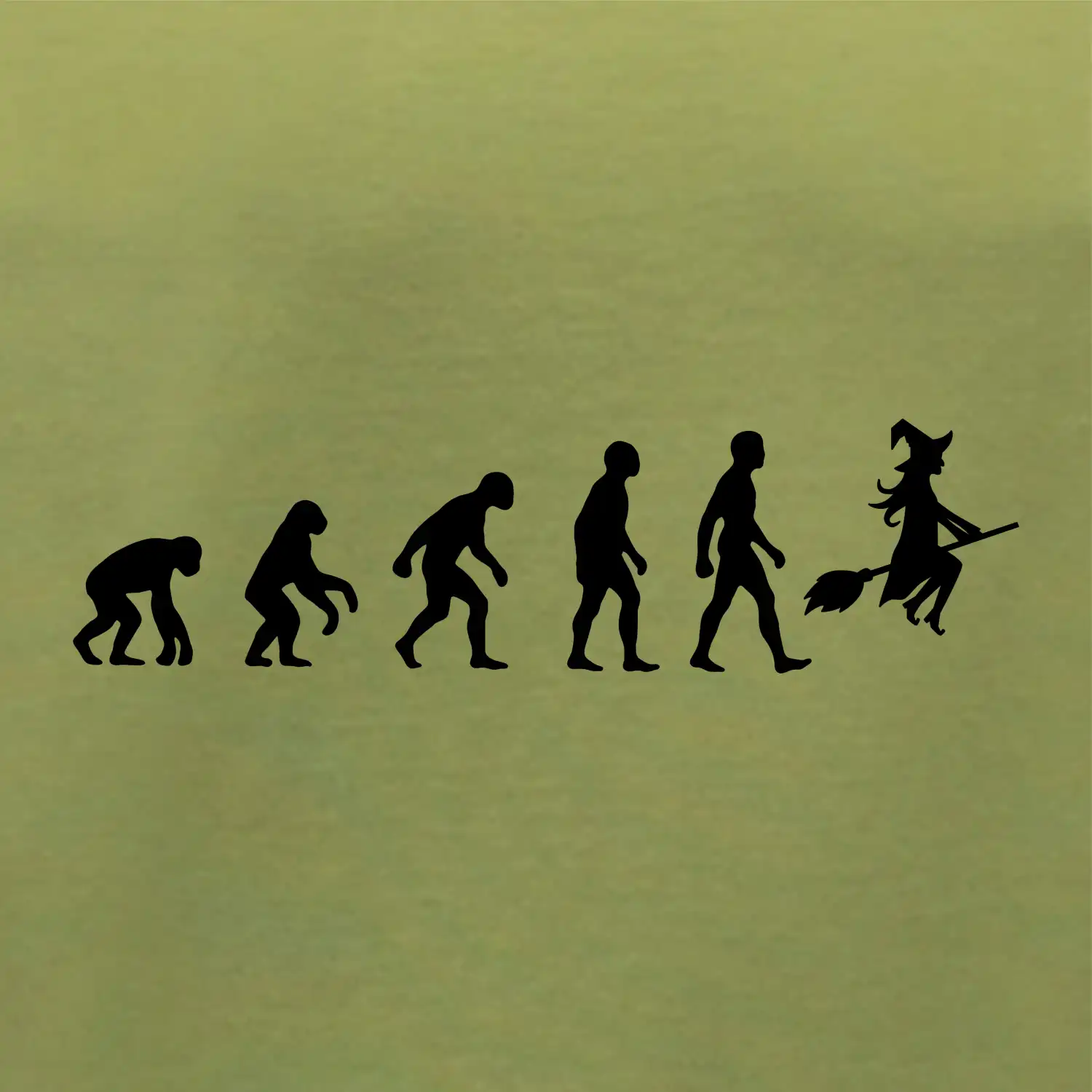 Evoluce čarodějnice