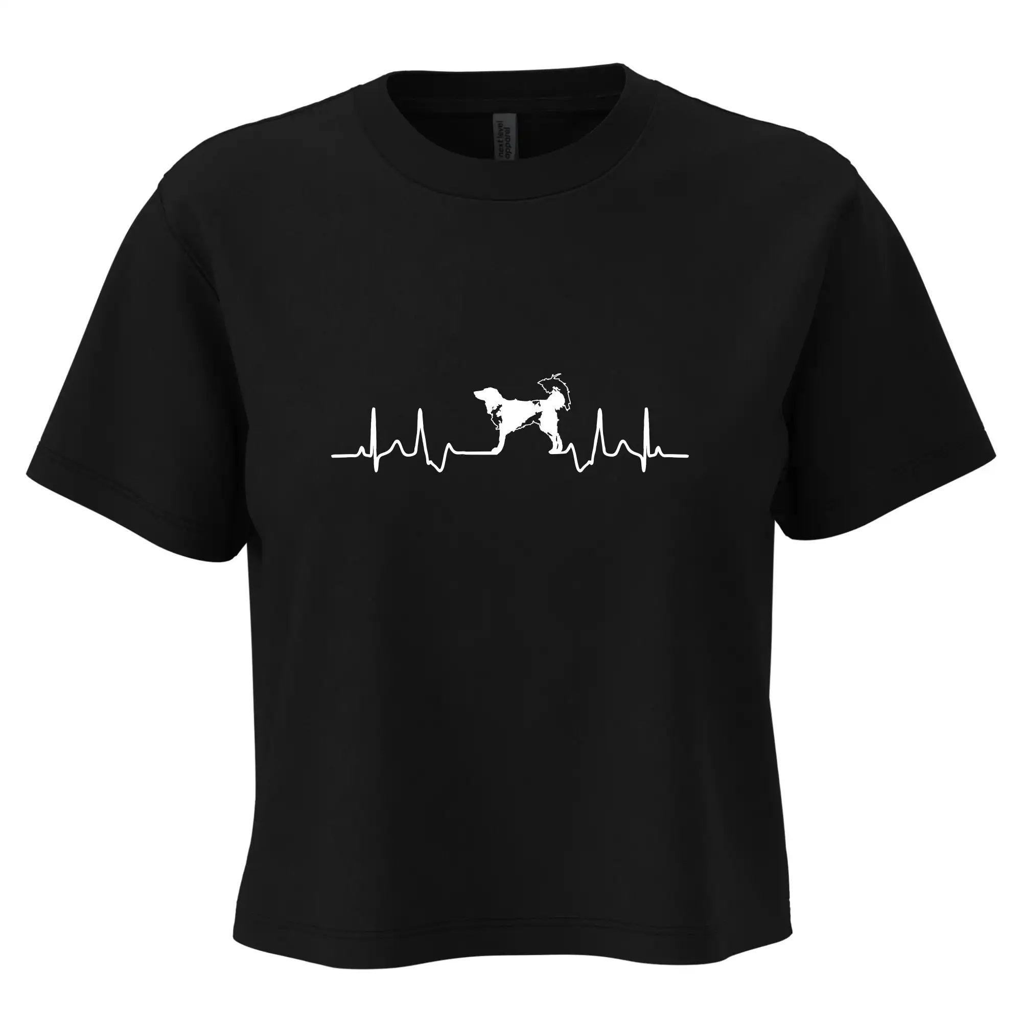 Český strakatý pes EKG