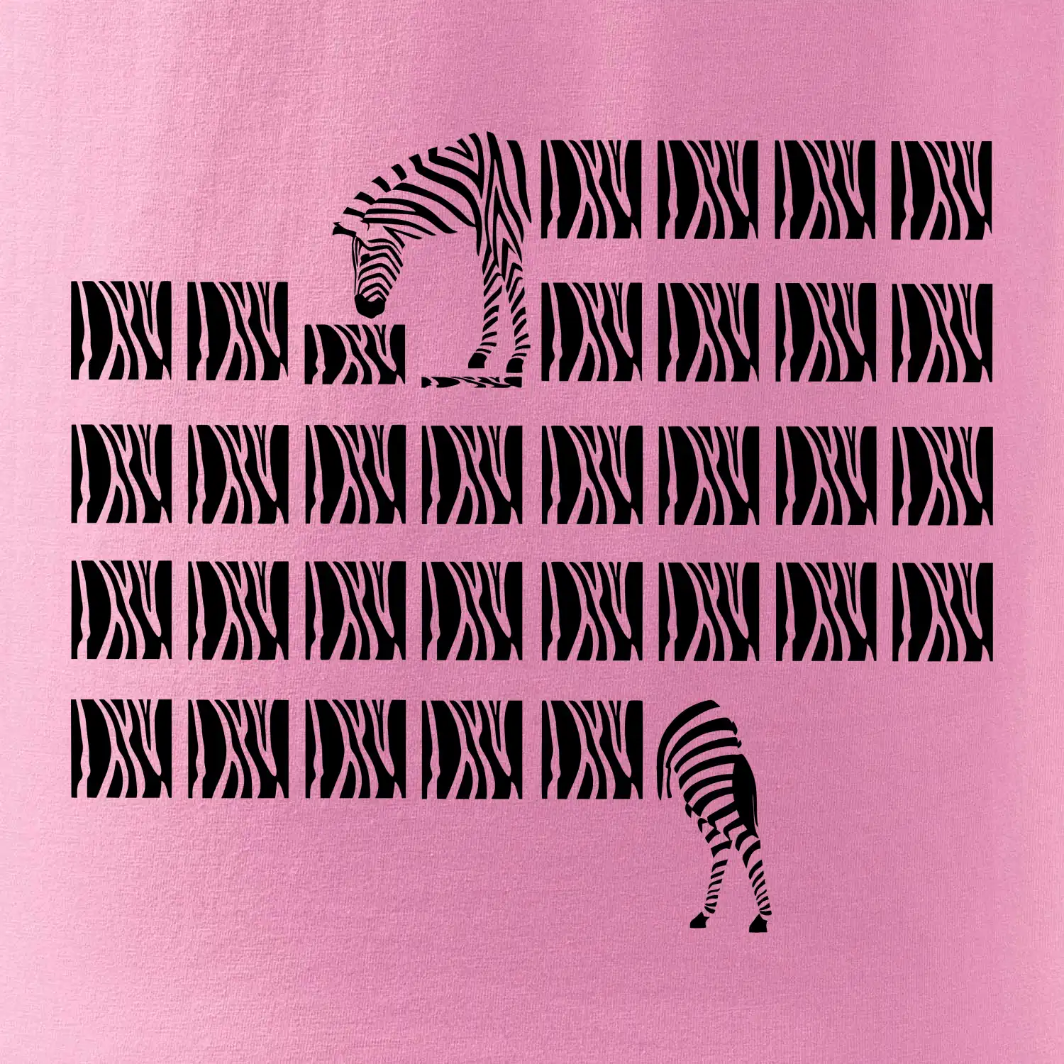 Zebra dlouhá