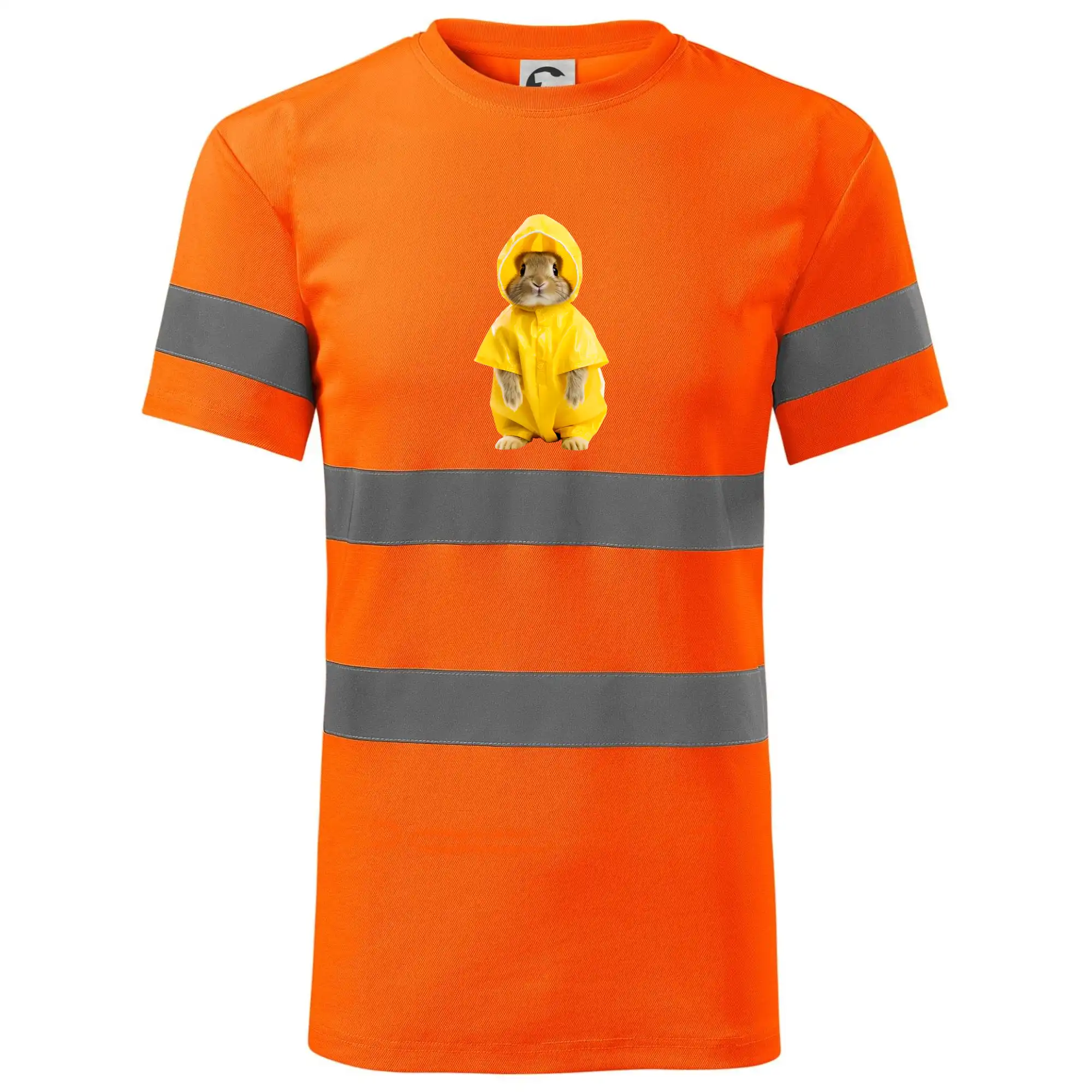 Králík v pláštěnce