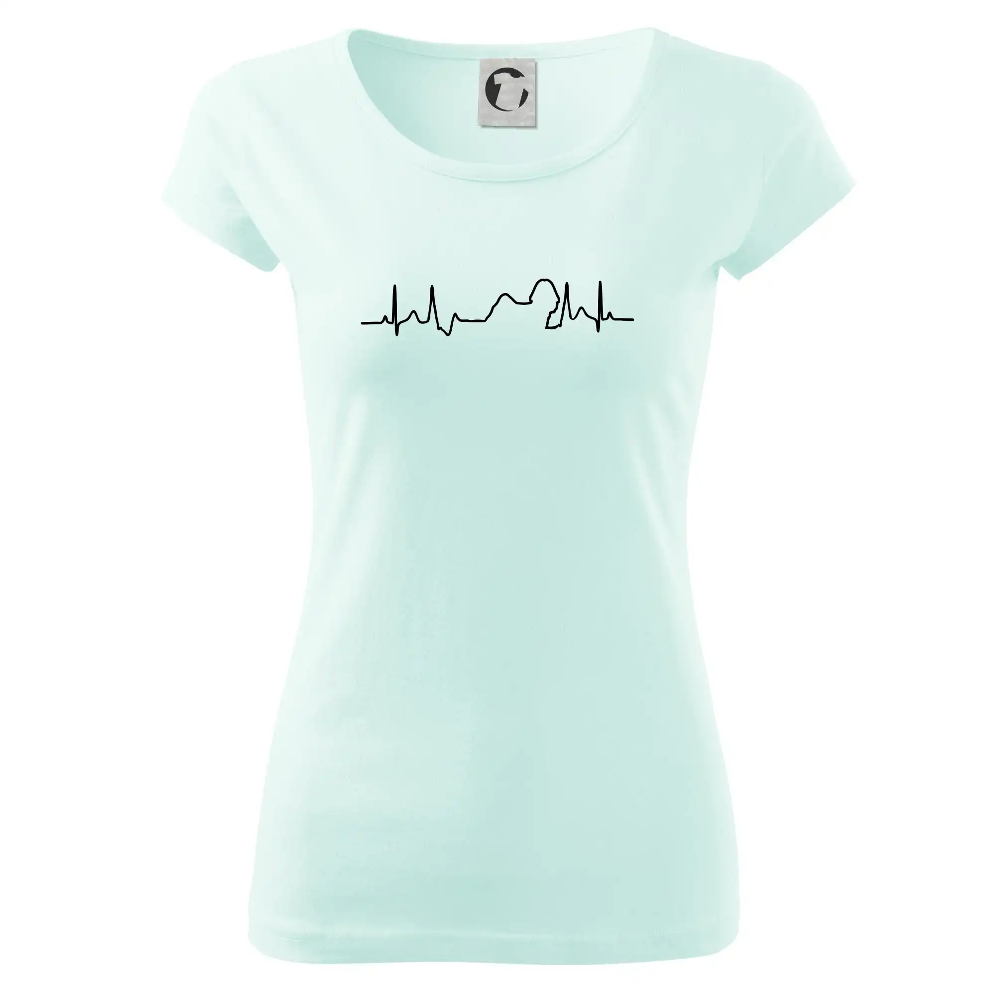 Shih-tzu ekg obrys