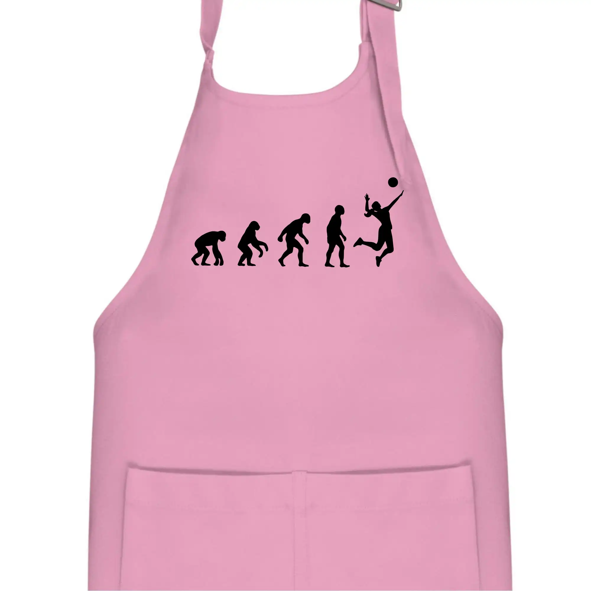 Evoluce volejbal culík