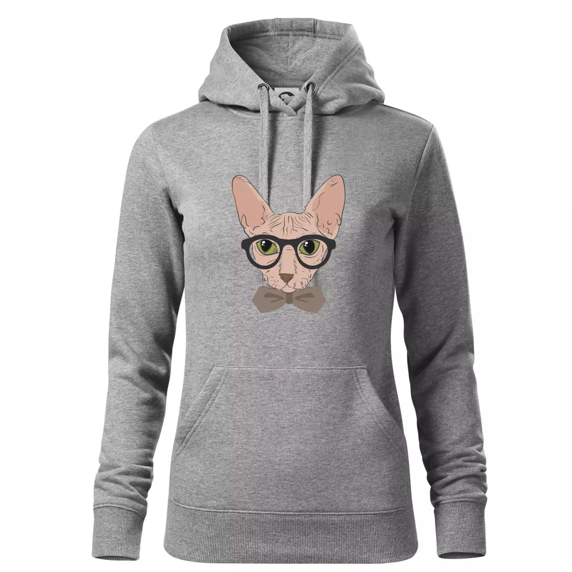 Hipster sphynx