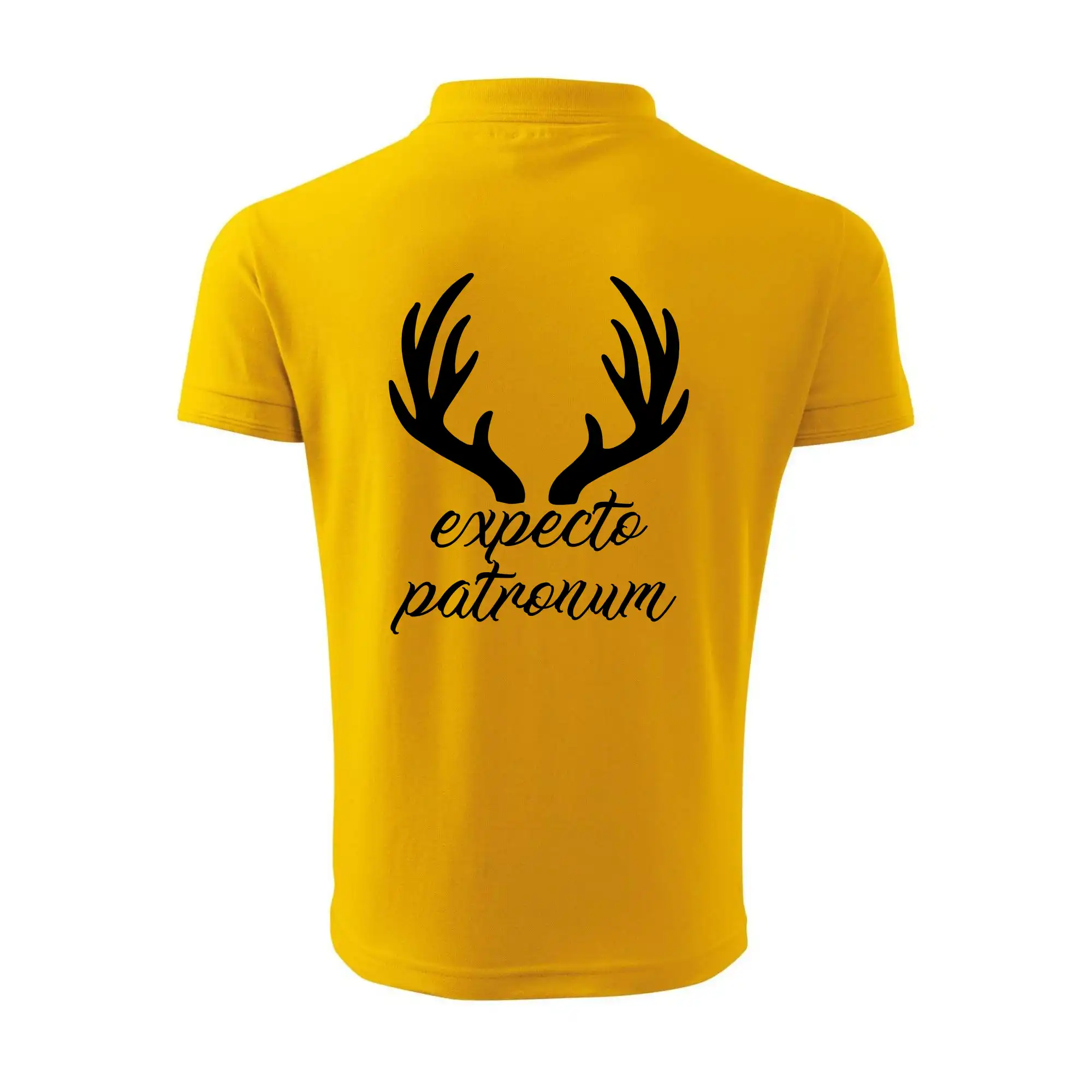 Harry - Expecto patronum