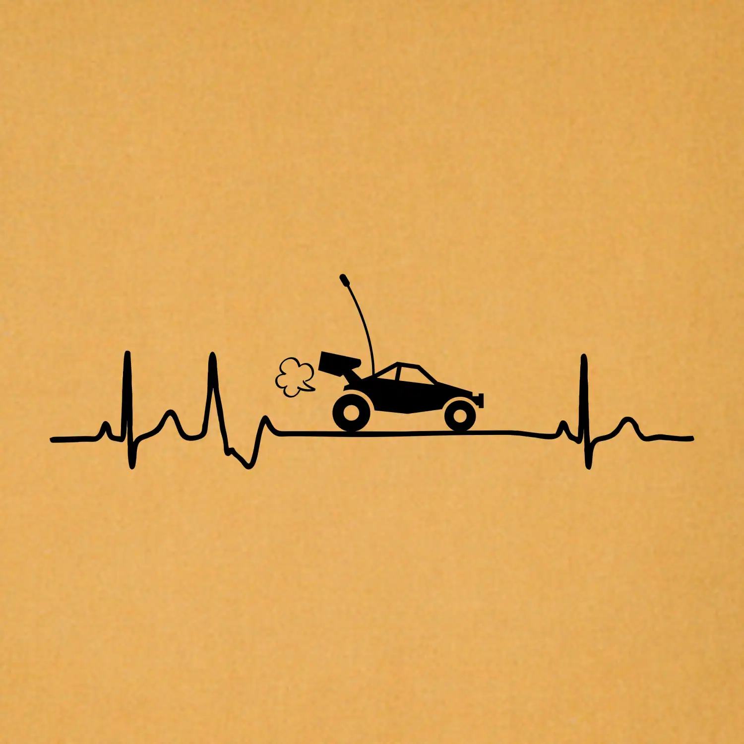 EKG RC model