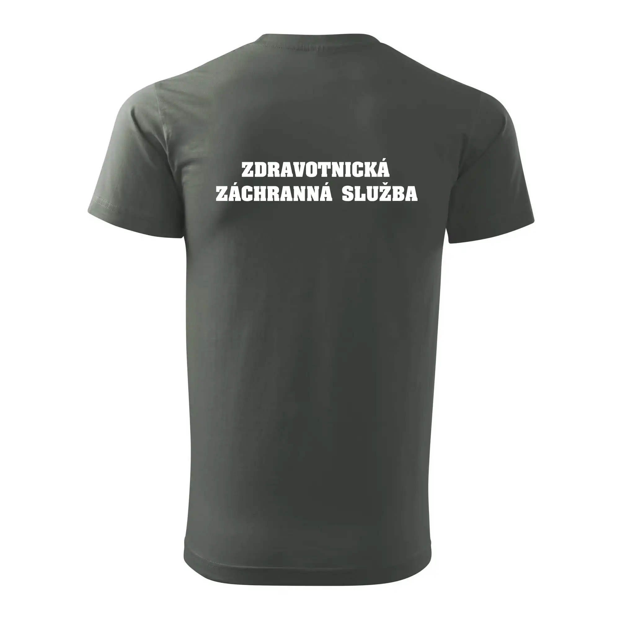 Hvězda života - zdravotnická záchranná služba