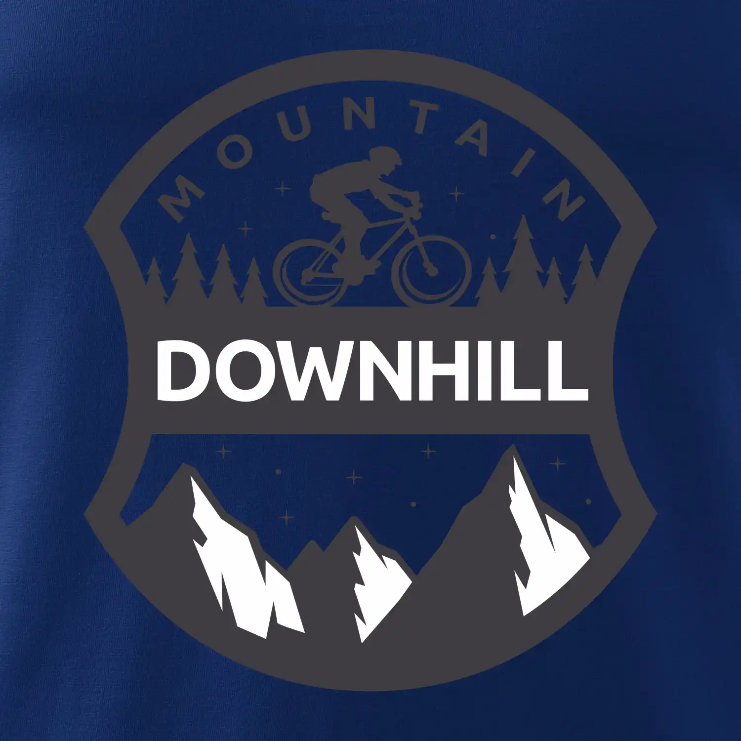 MTB downhill erb