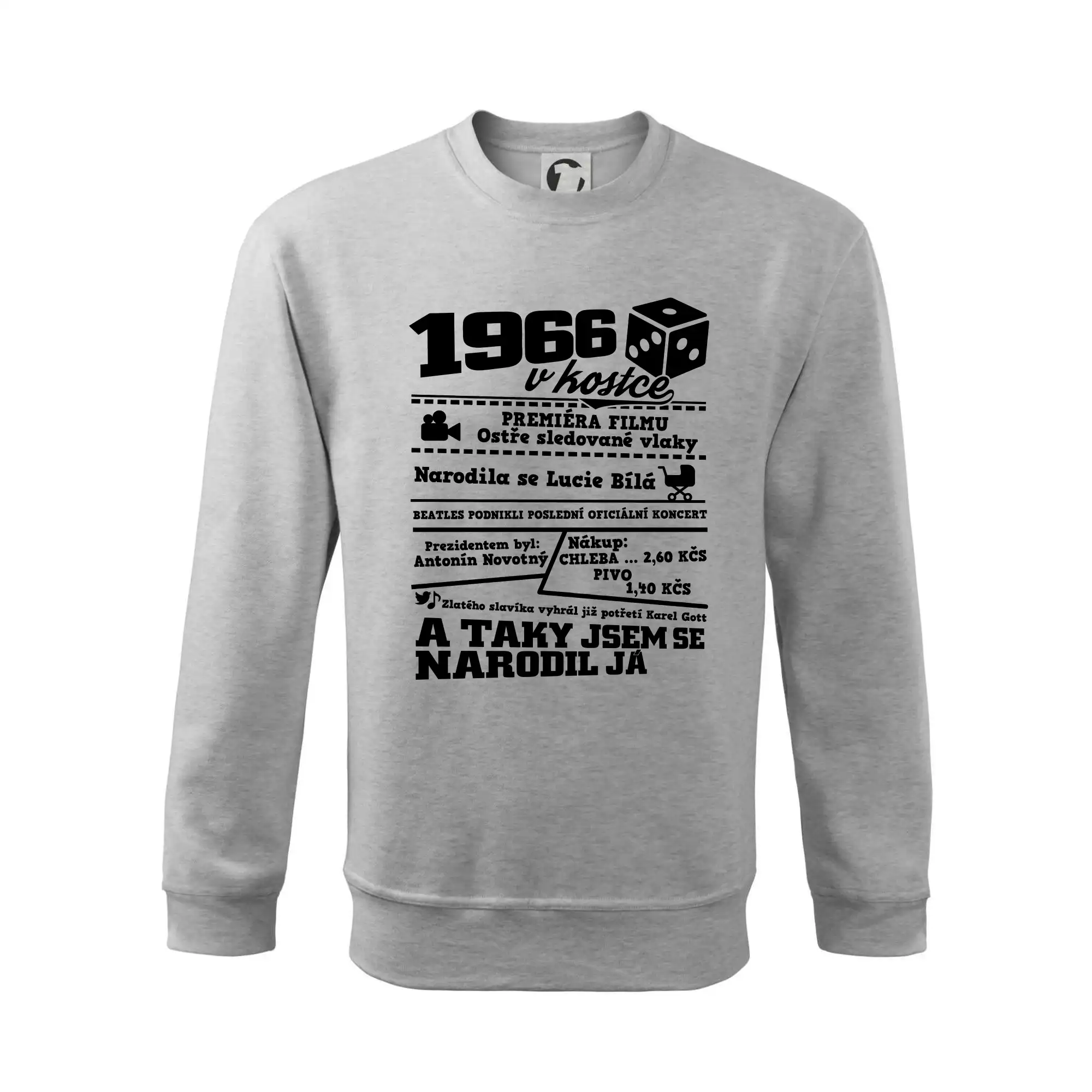 1966 v kostce