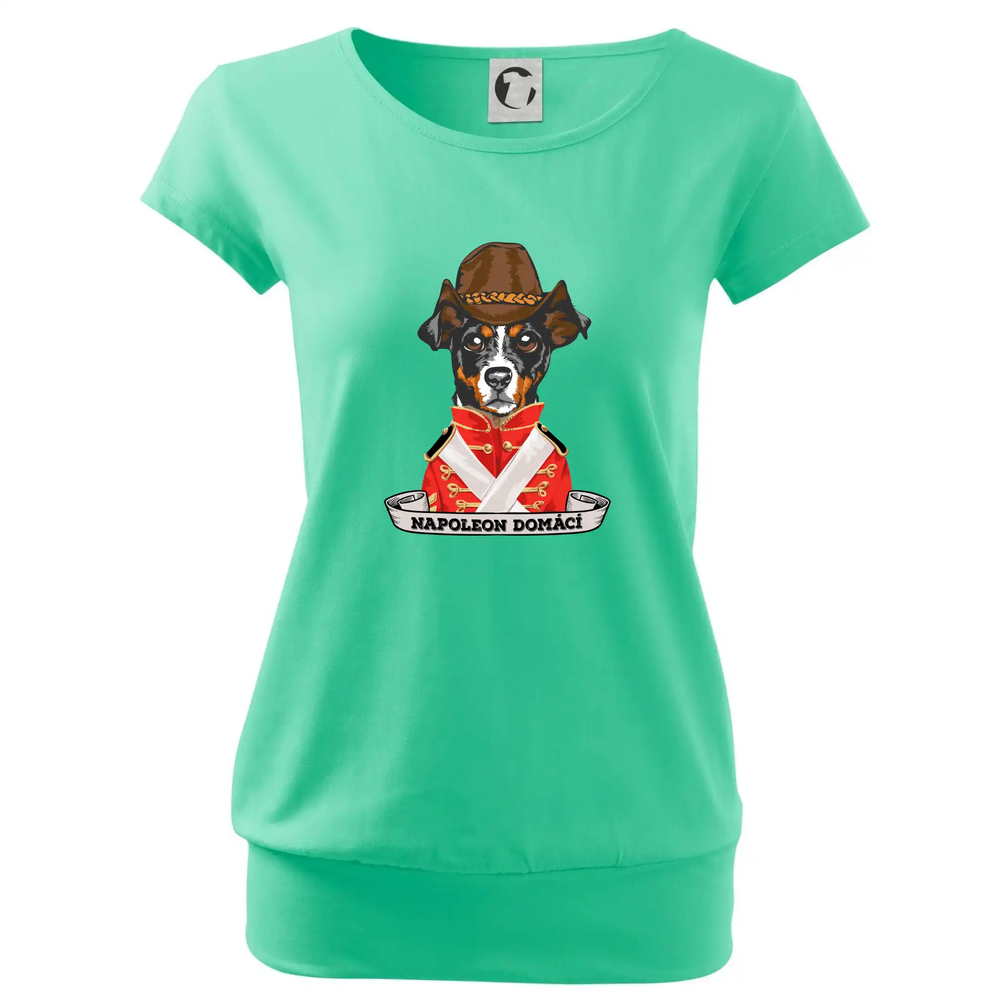 Napoleon domácí pes kříženec