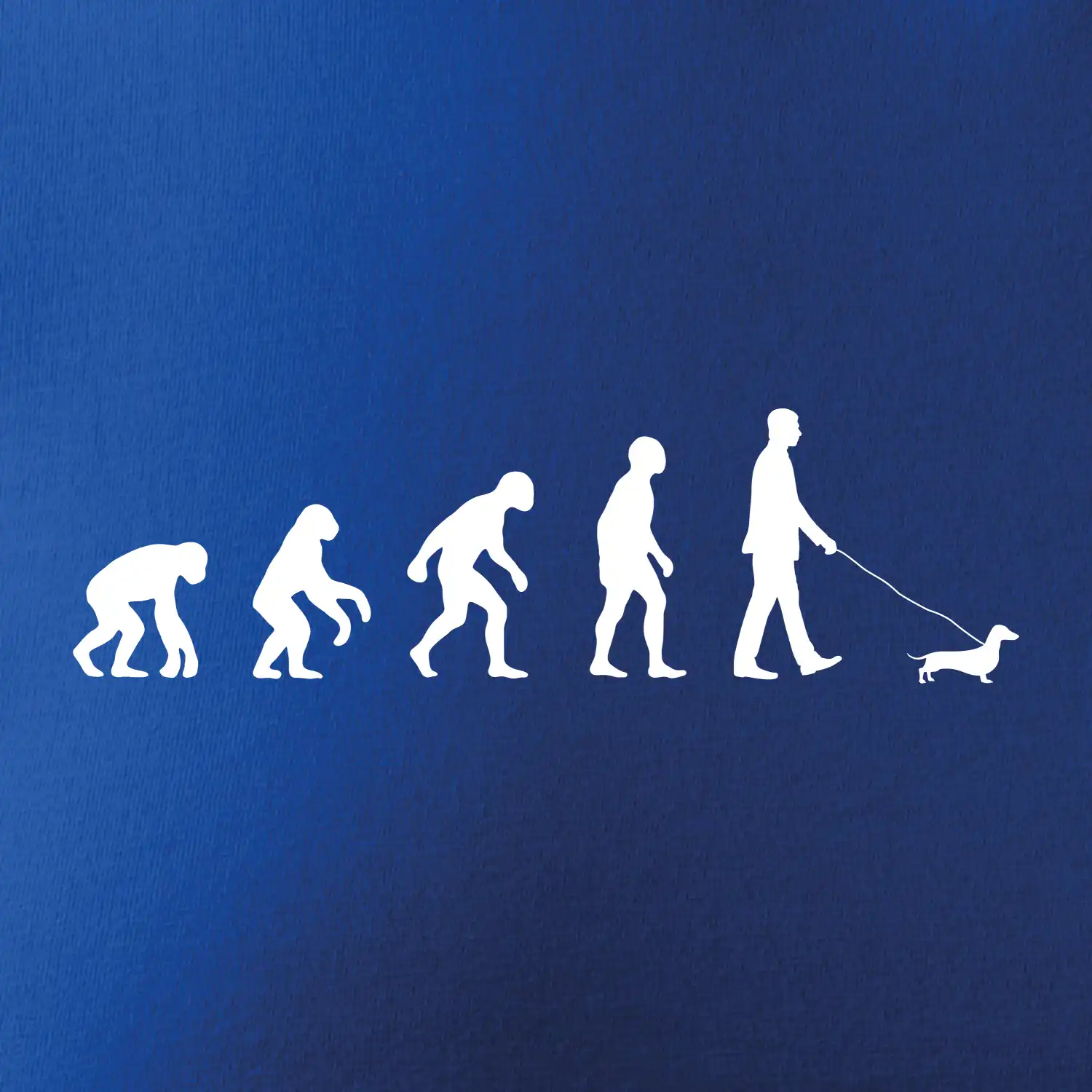 Jezevčík Evoluce muž