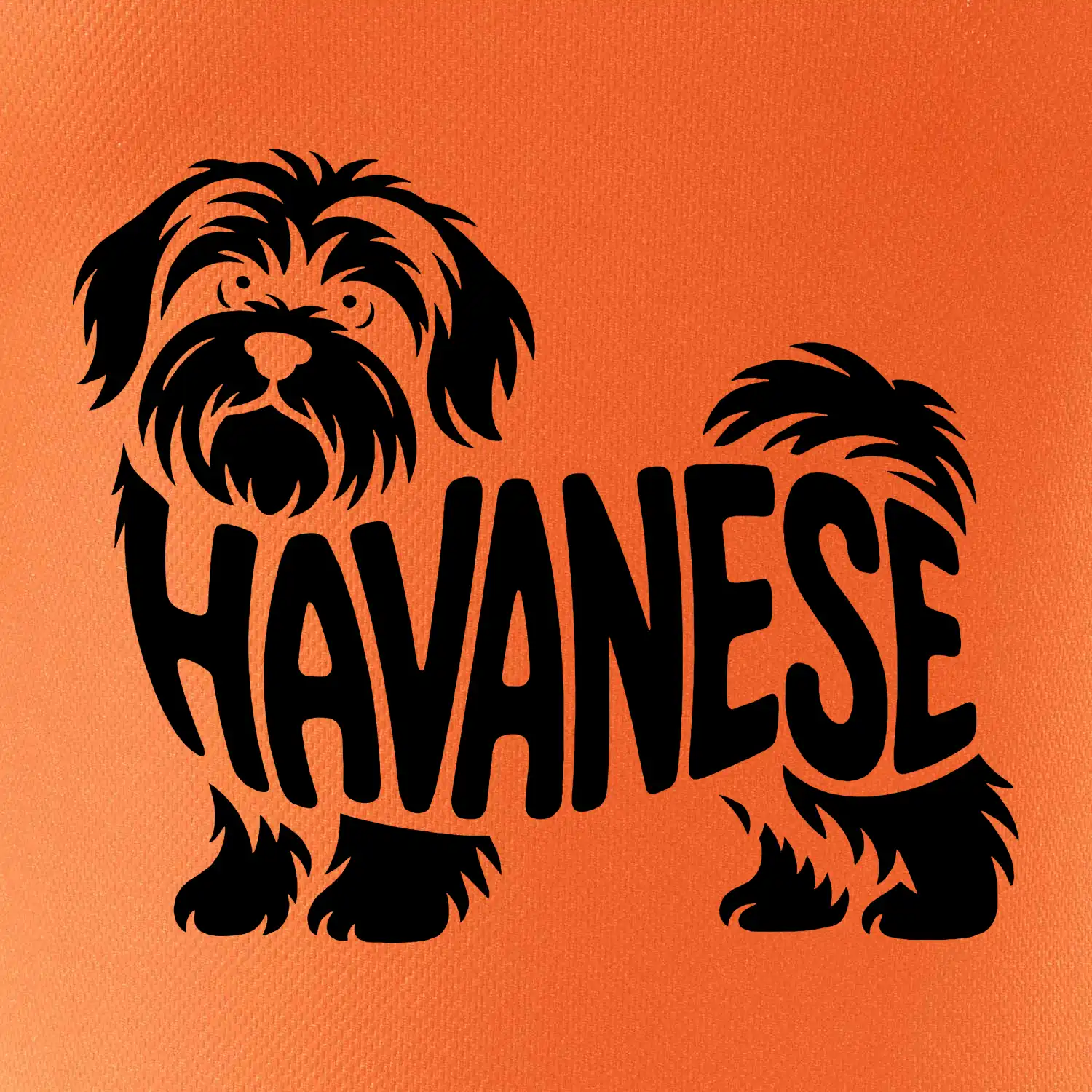 Havanese nápis v těle