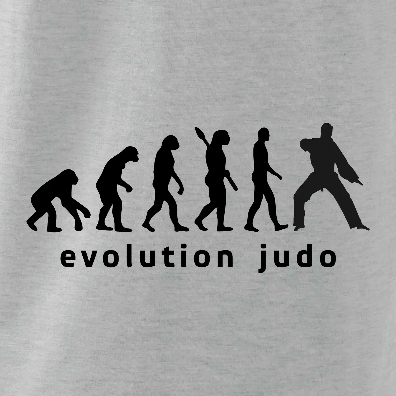 Judo evoluce - úder