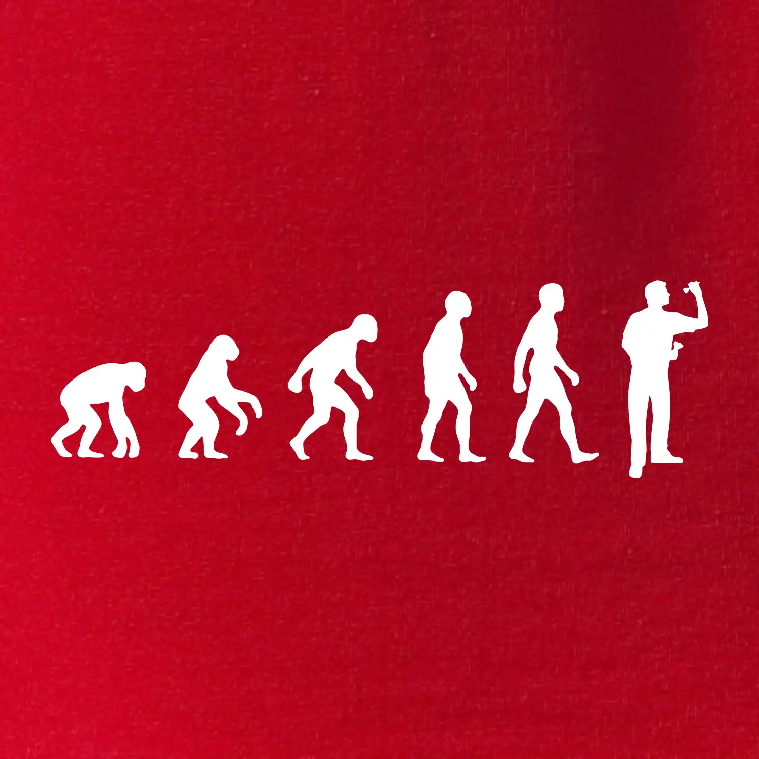 Evoluce šipky