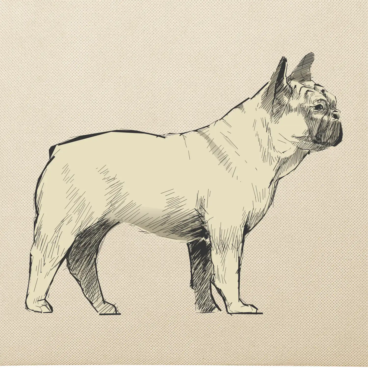 Vintage French bulldog