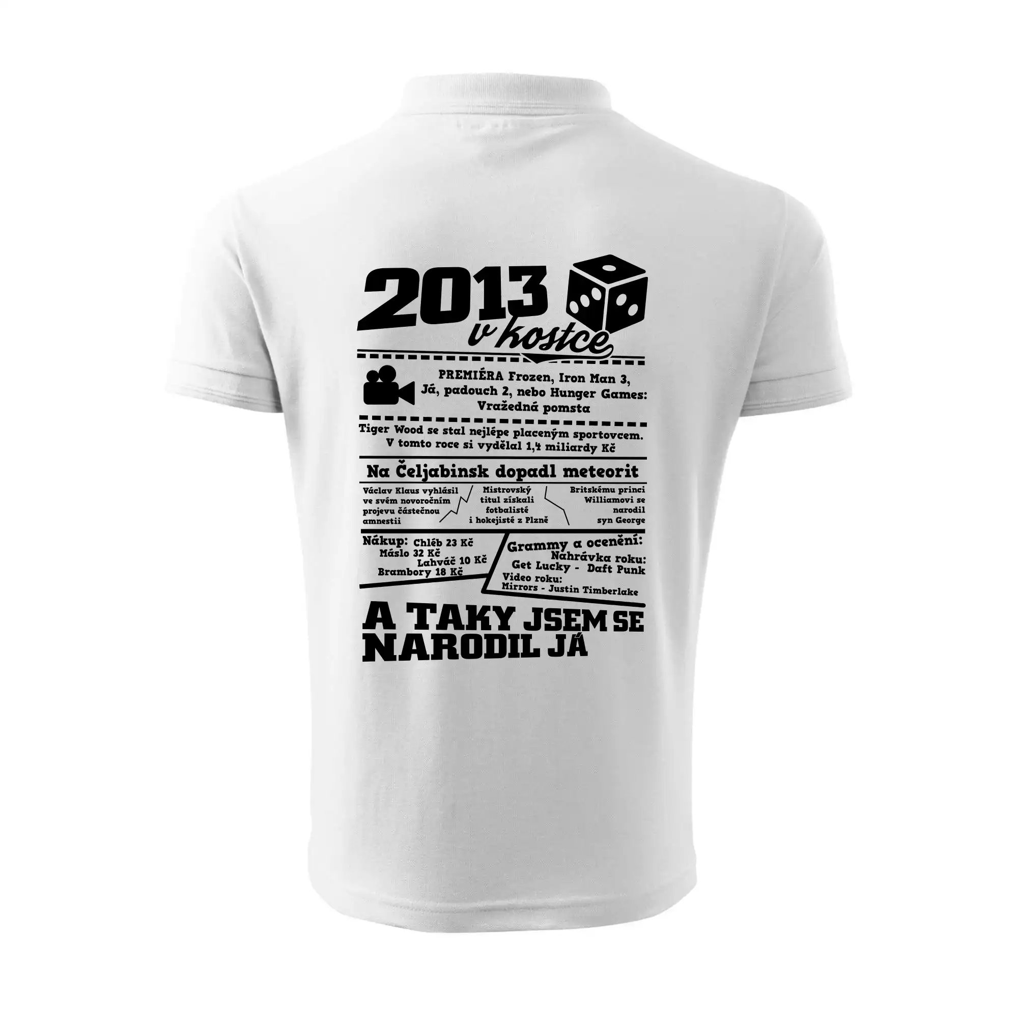 2013 v kostce
