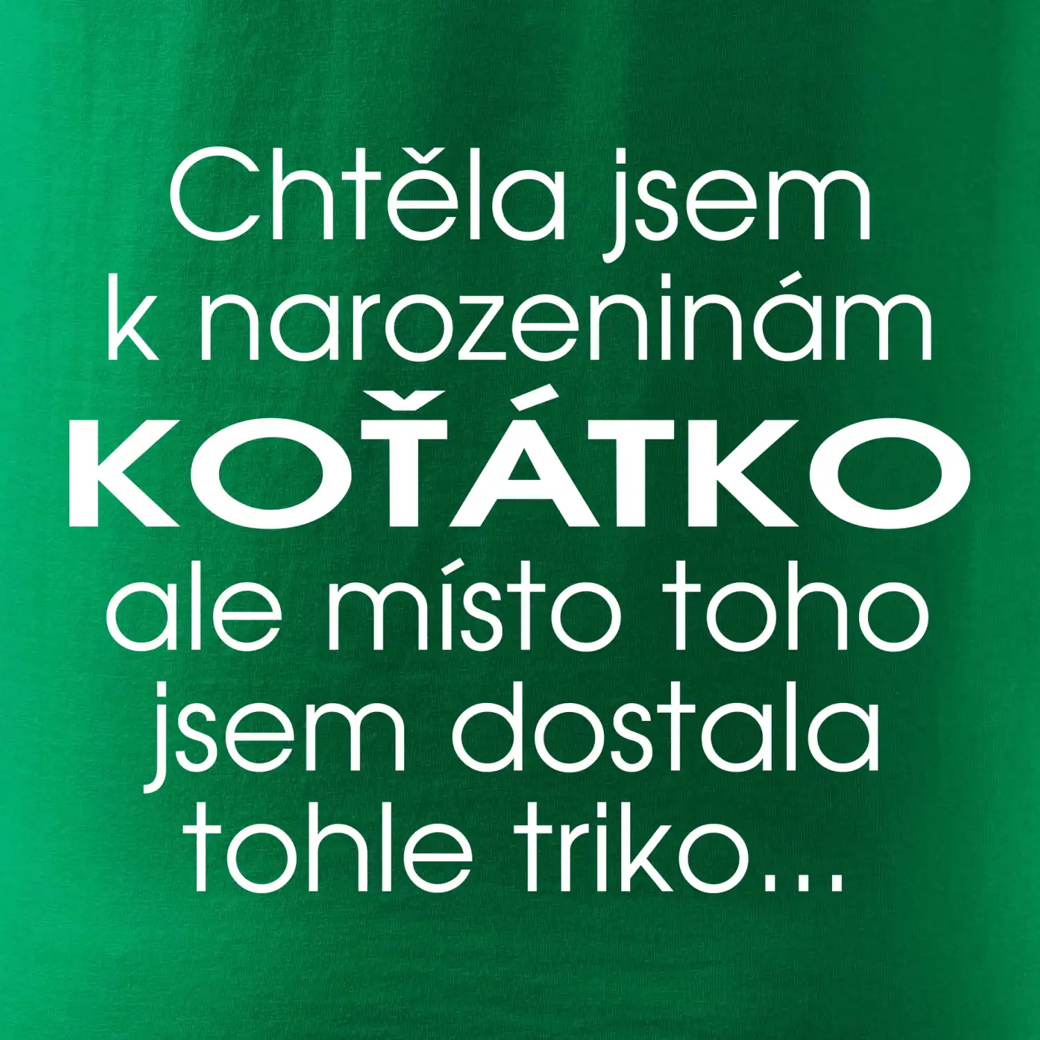 Chtěla jsem dostat k narozeninám koťátko