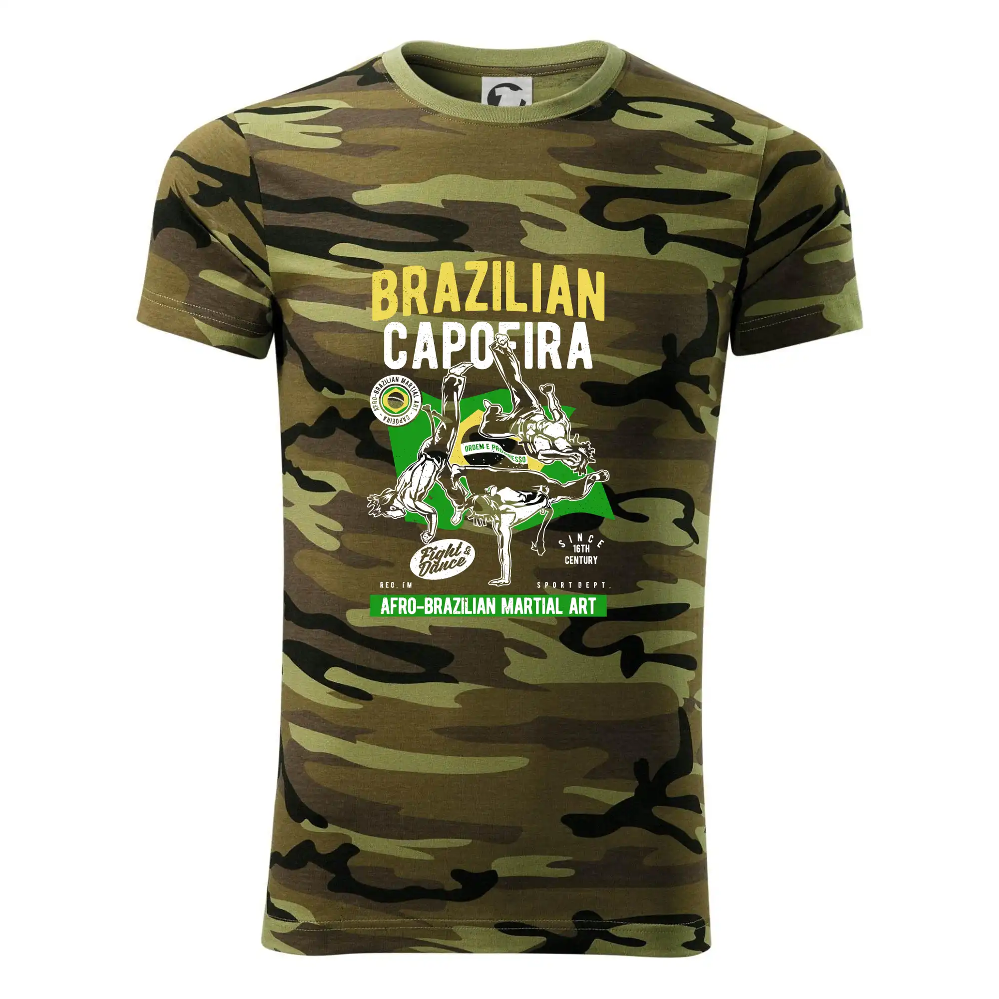 Brazilian Capoeira