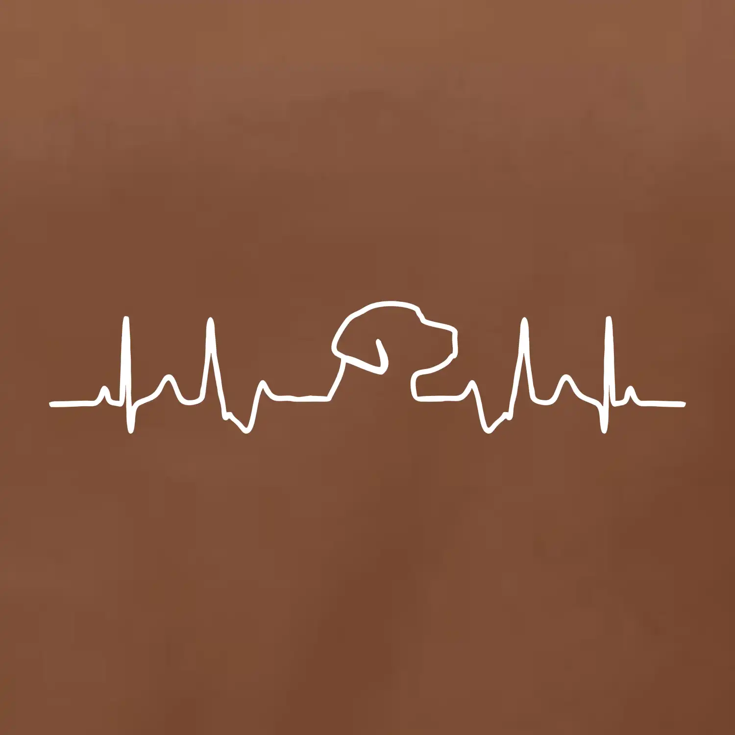 Labrador EKG