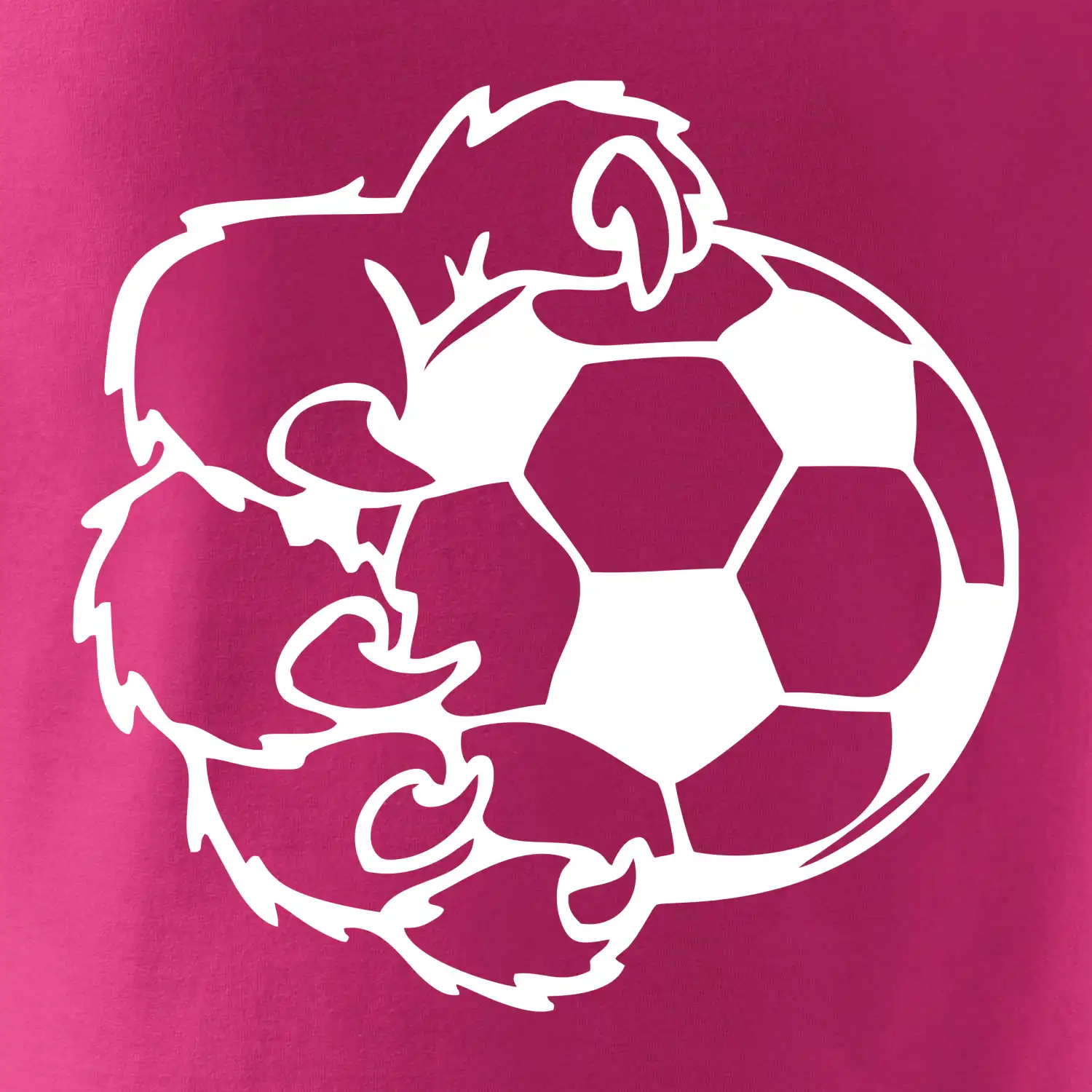 Medvědí tlapa fotbal