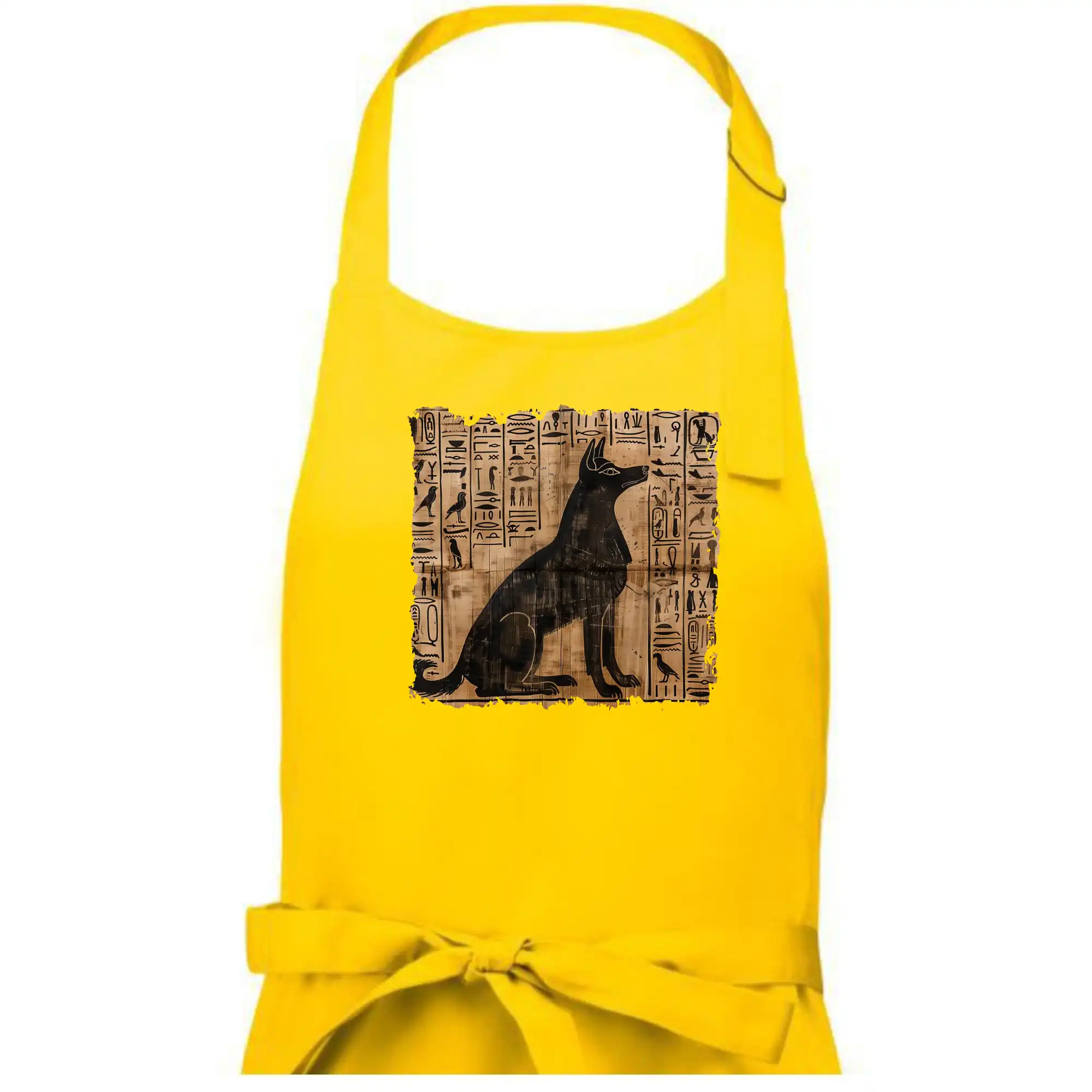 Egyptské hieroglyfy pes