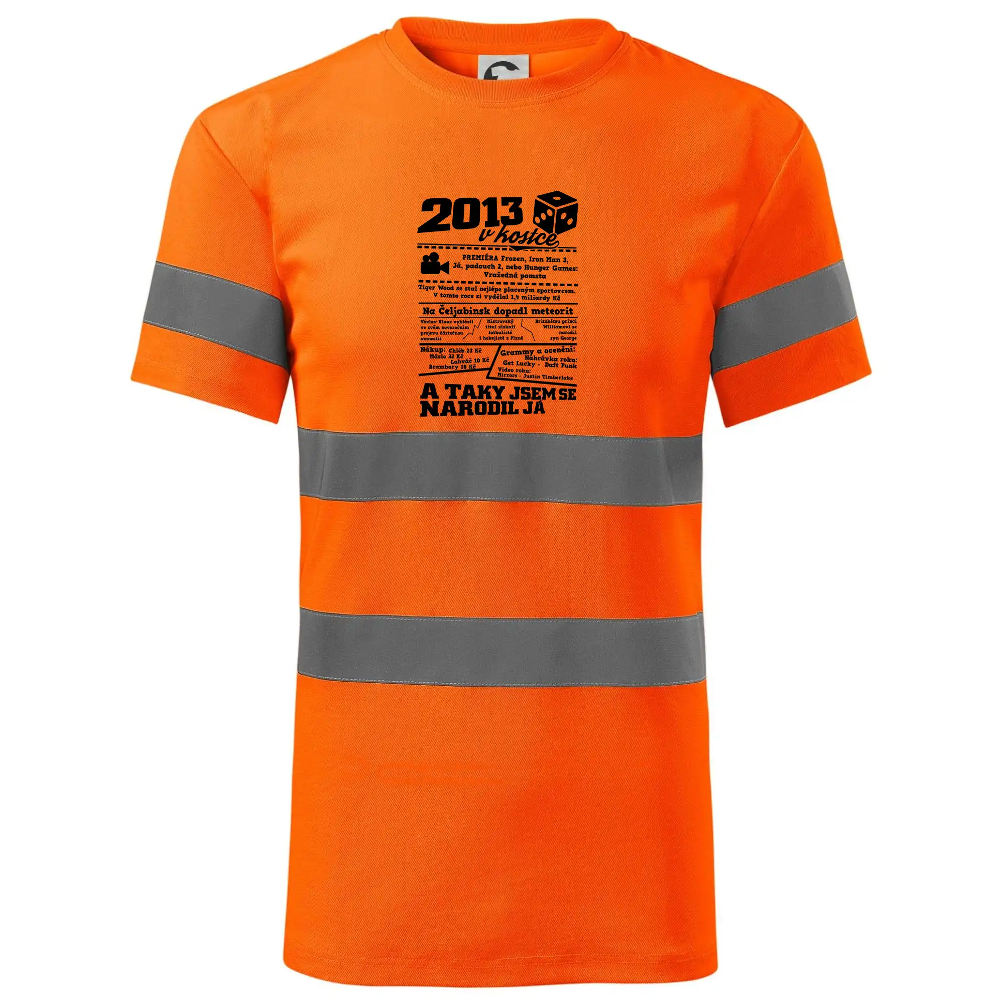 2013 v kostce