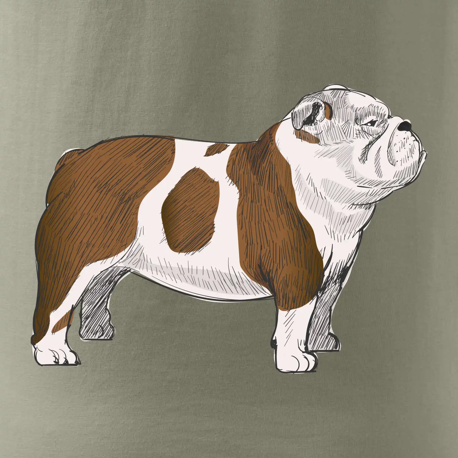 Vintage English bulldog
