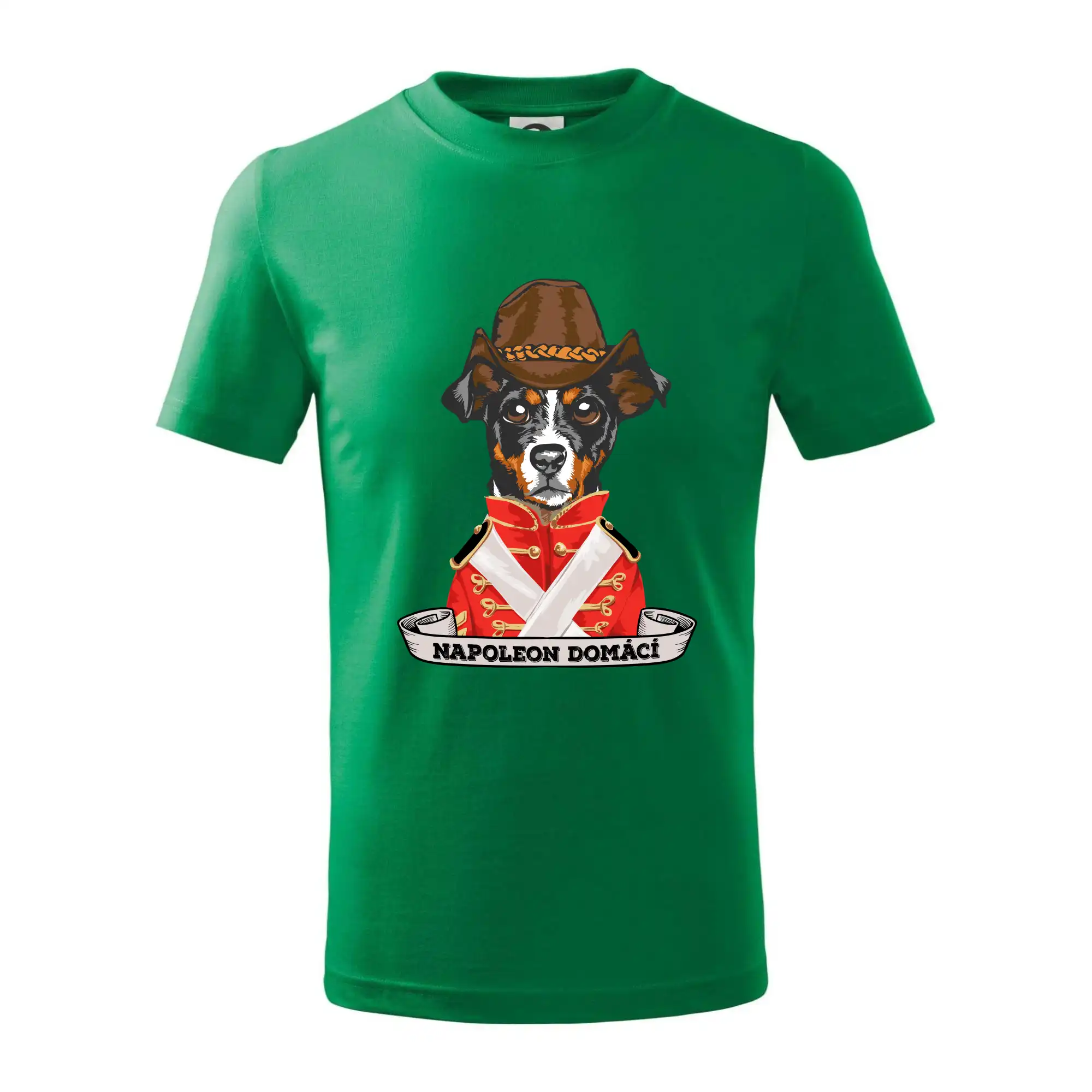 Napoleon domácí pes kříženec