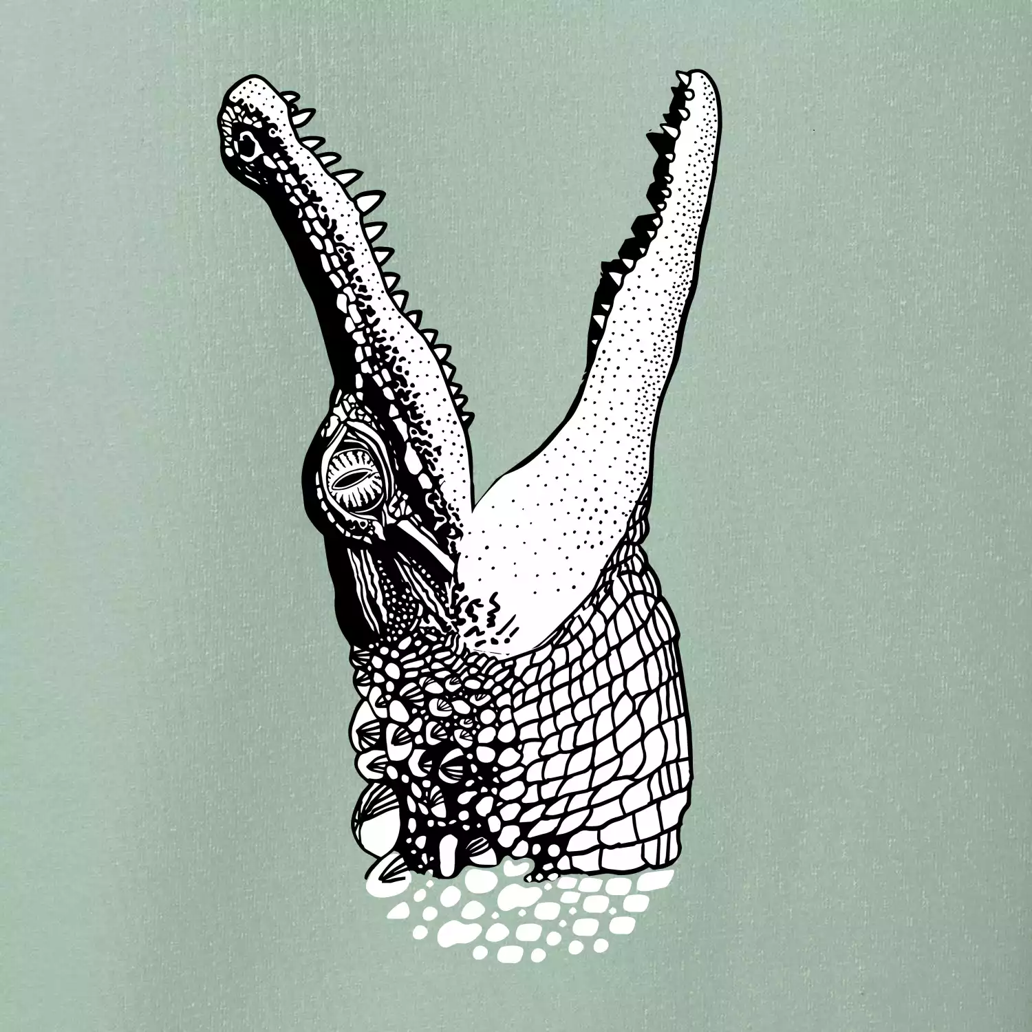 Krokodýl kreslený (Pecka design)