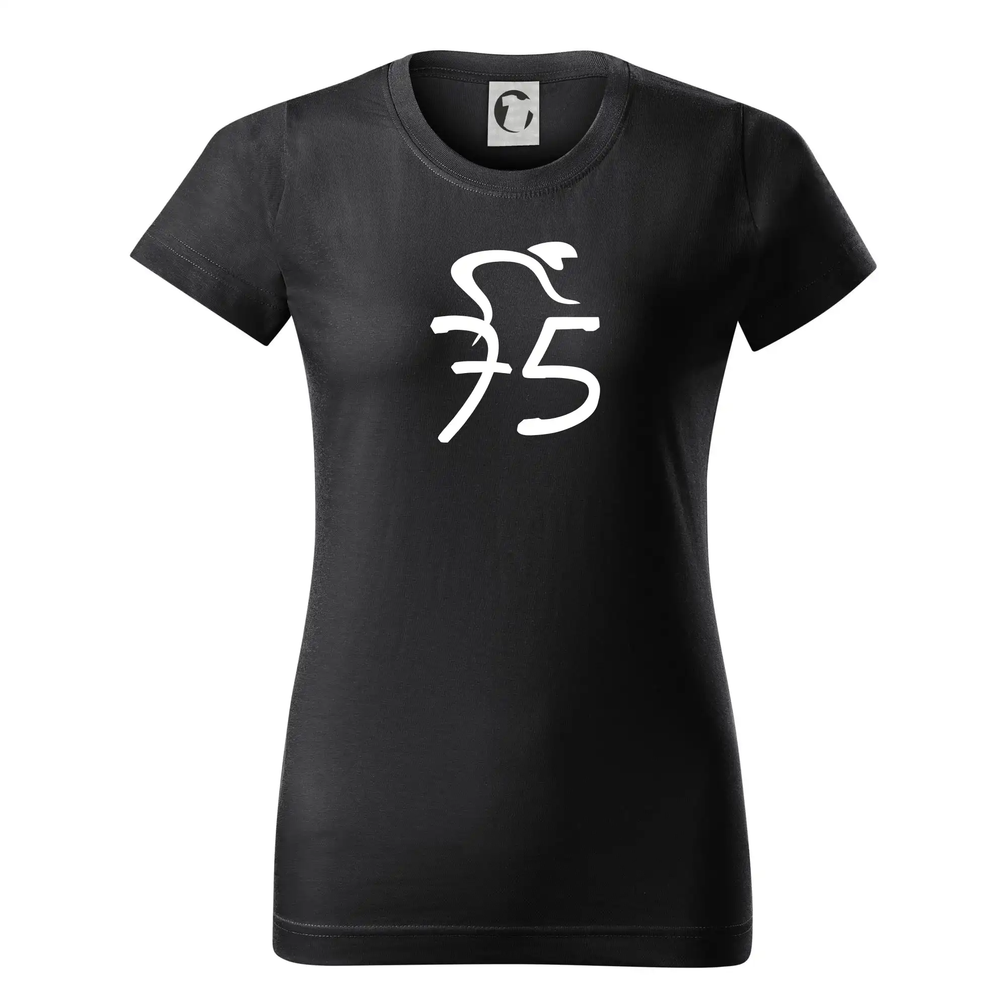 Cyklista slaví pětasedmdesátku (75)