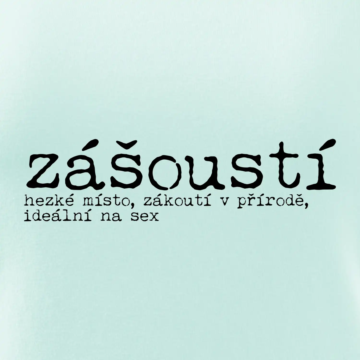 Čeština 2.0 - zášoustí