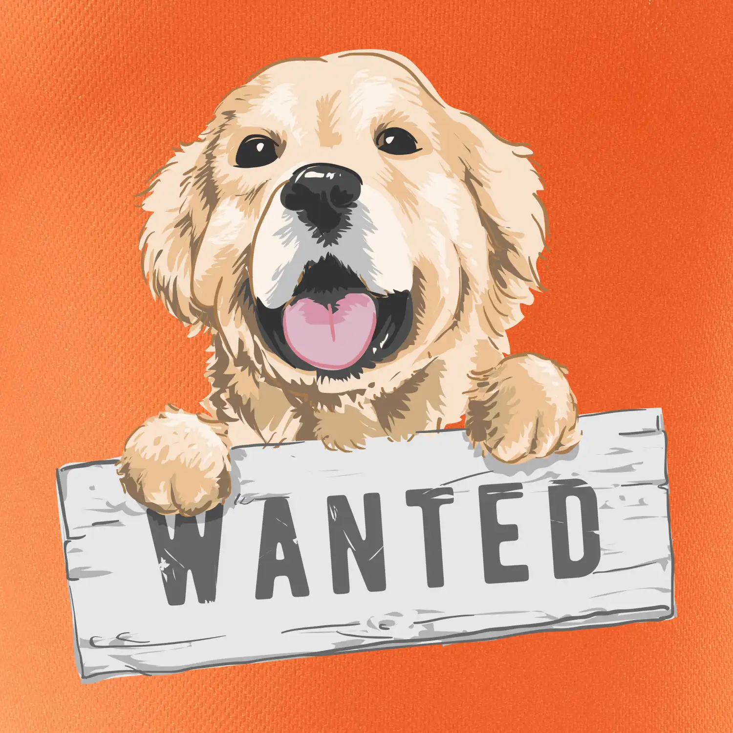 Zlatý retriever - štěně wanted