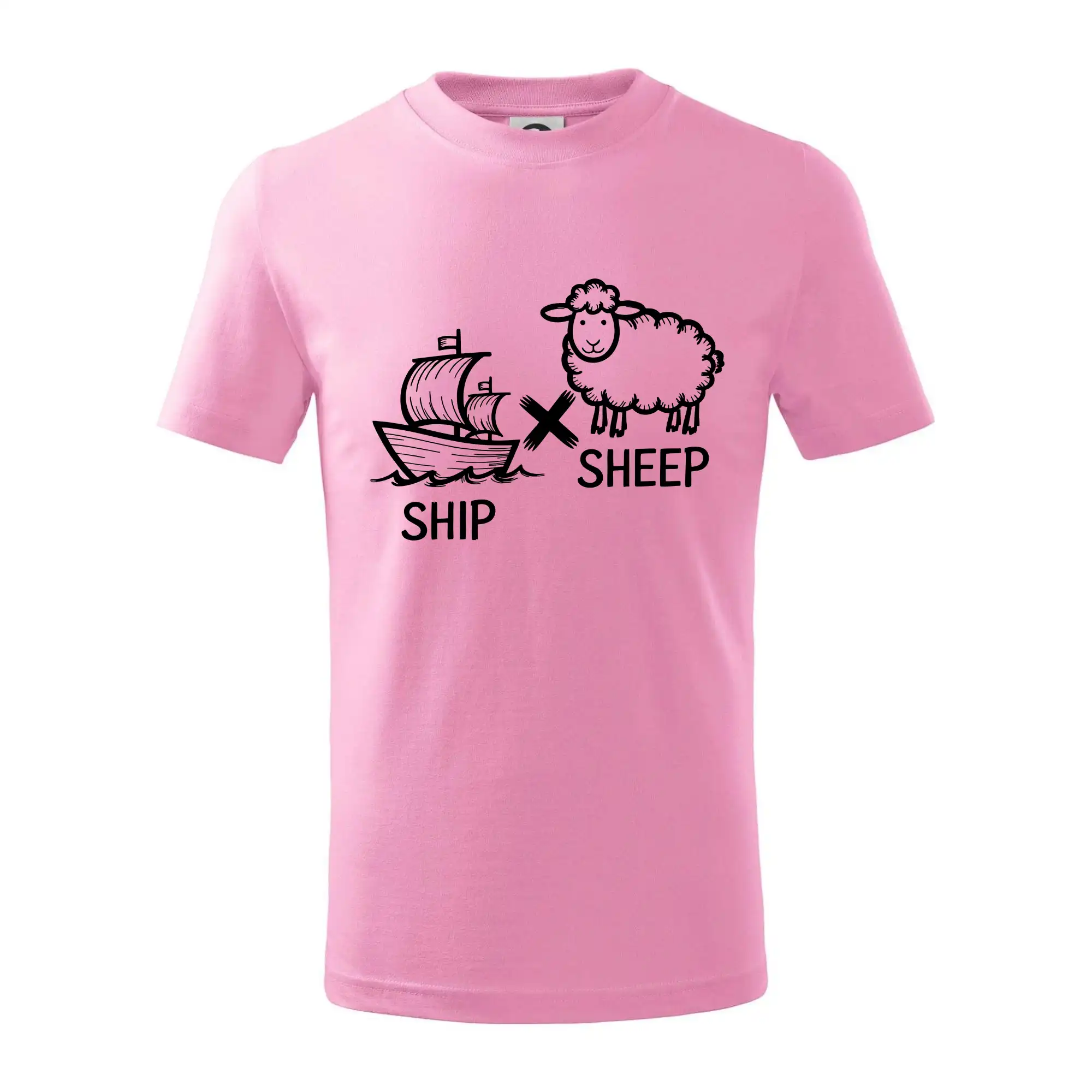 Anglický slovníček - Ship sheep