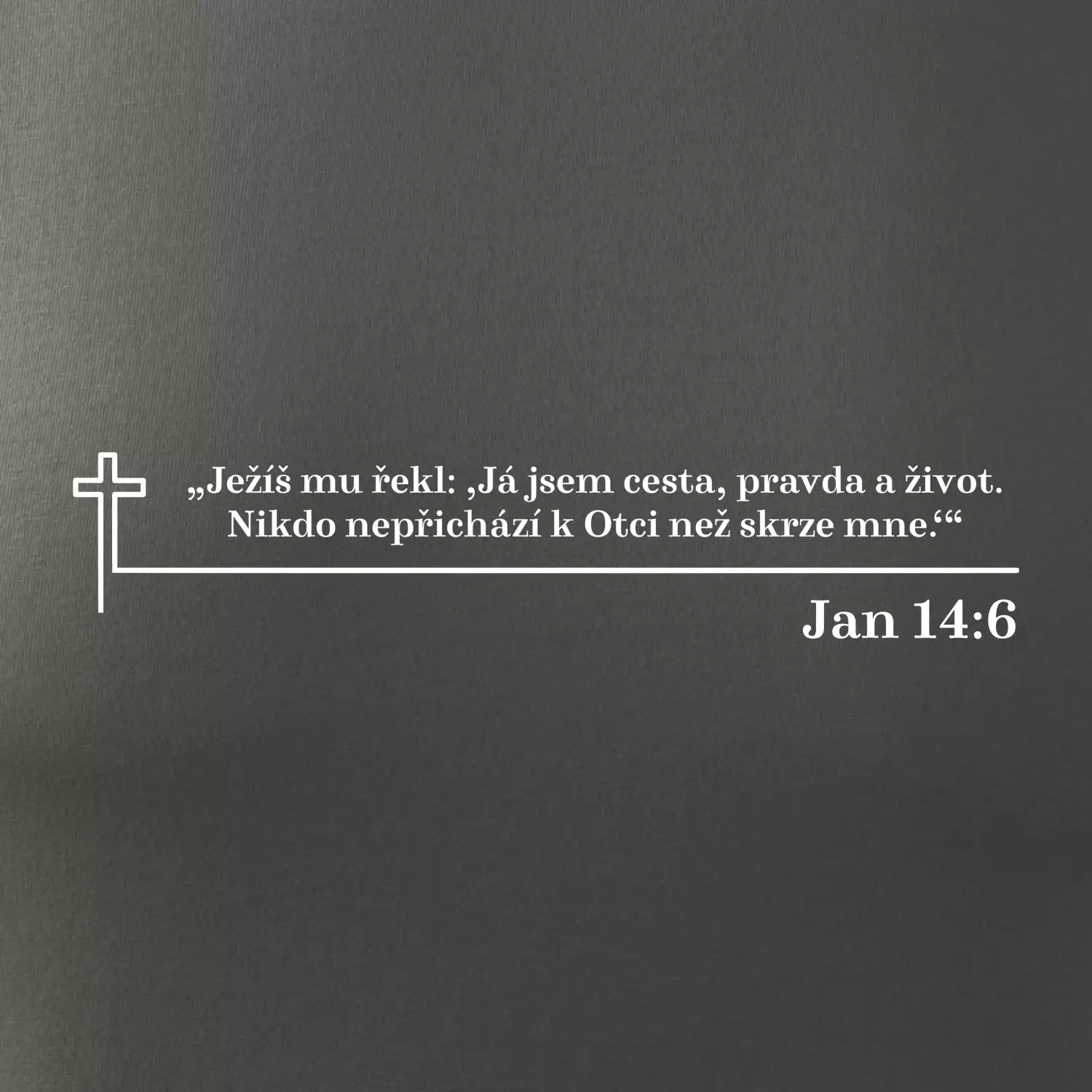 Citáty z bible - Jan 14:6