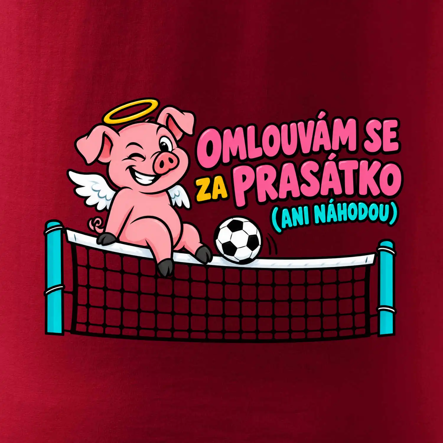 Nohejbalové prasátko na síti