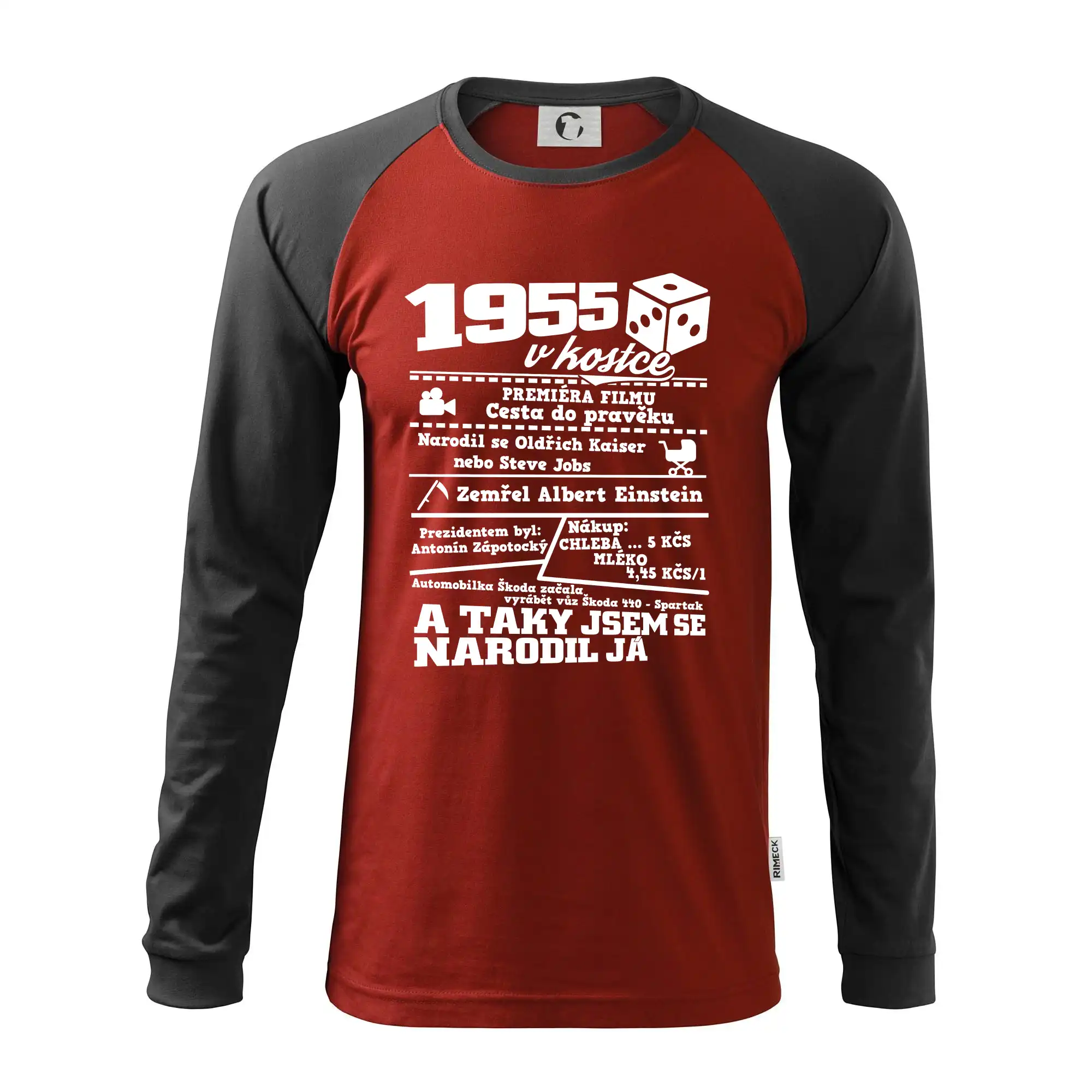1955 v kostce