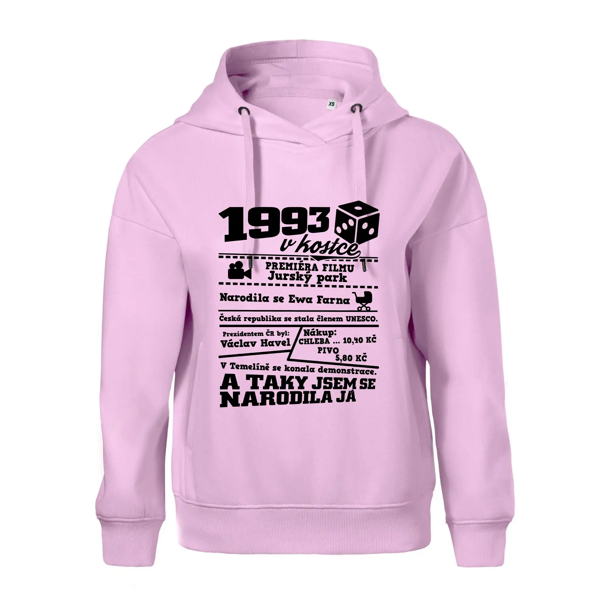 1993 v kostce
