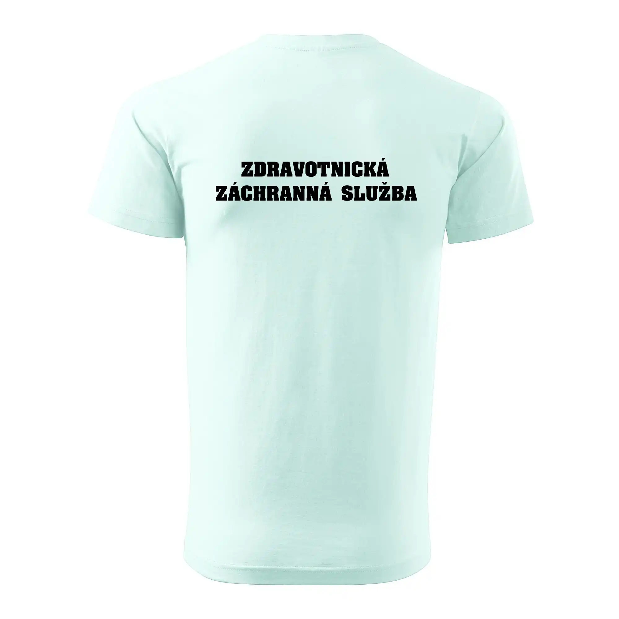 Hvězda života - zdravotnická záchranná služba
