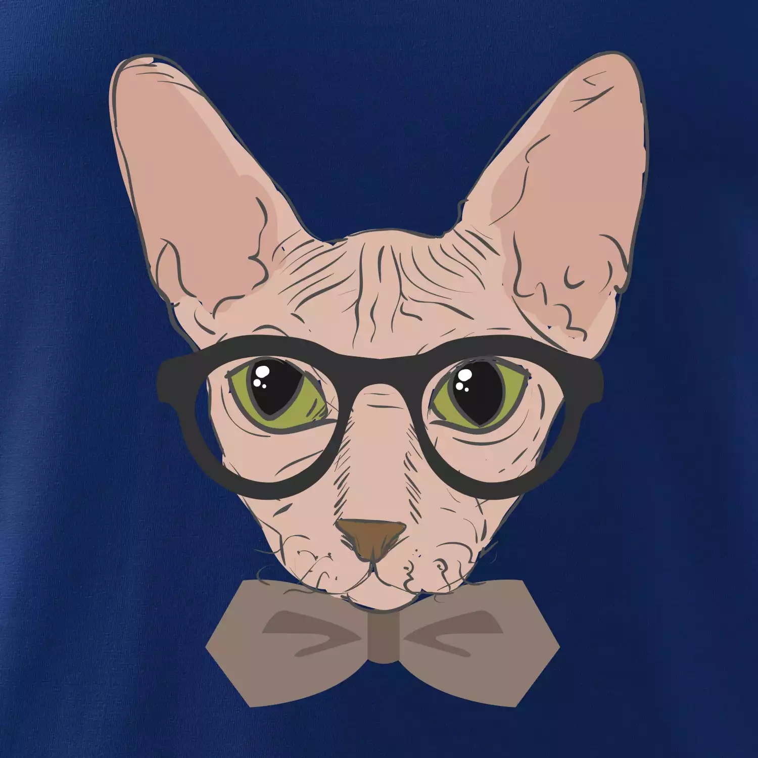 Hipster sphynx